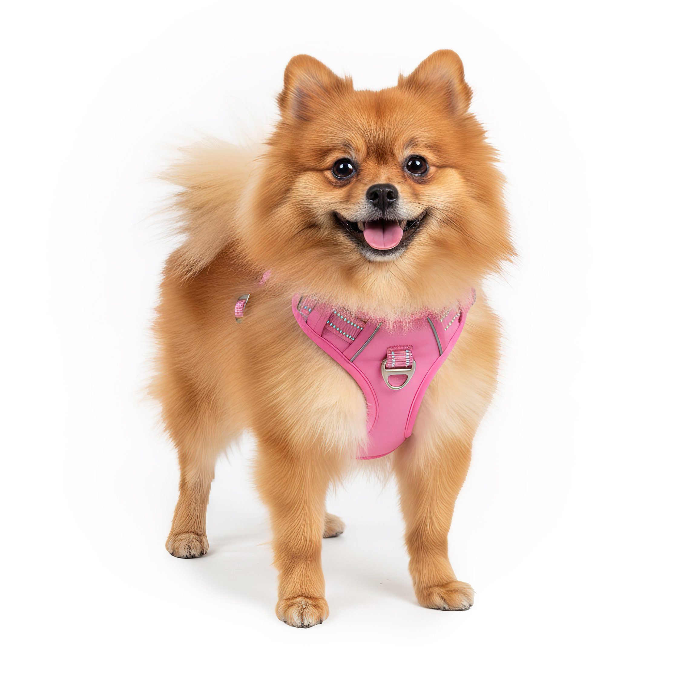 Reichstadt Hunde-Geschirr RS Pets Norwegergeschirr 25RSP083, Polyester, atmungsaktives Netzgewebe und robuster Oxford-Stoff