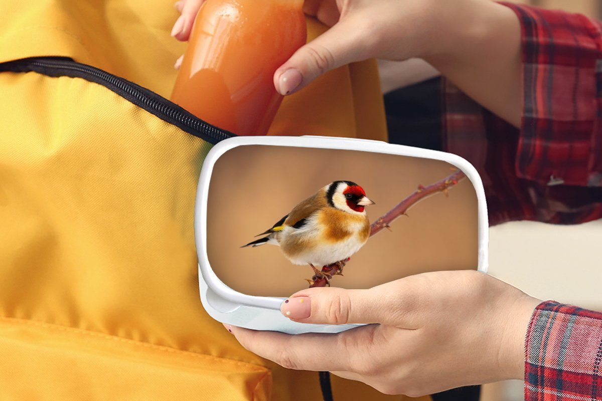 MuchoWow Lunchbox Kropftaube - Kunststoff, weiß Vogel Jungs Tiere, Erwachsene, Kinder und Brotdose, Brotbox - und für Mädchen für (2-tlg)