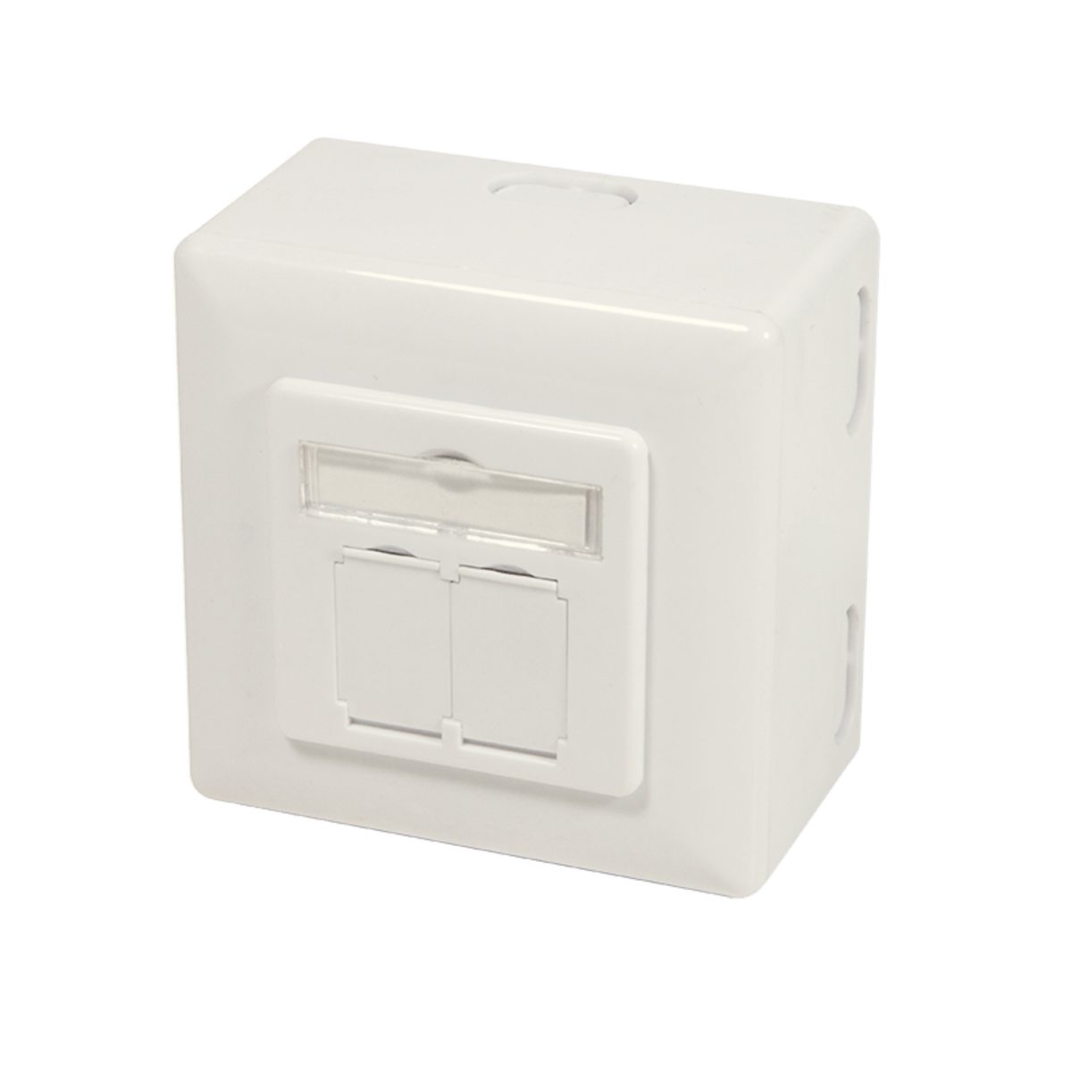 DSIT DSIT Dose Aufputz Cat. 6a/ Class E zweifach, geschirmt, 2 x 45RJ, Netzwerkkabel, RJ45, RJ45