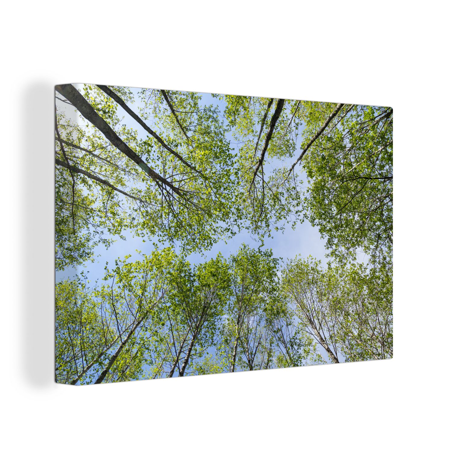 Verkaufserfolg OneMillionCanvasses® Leinwandbild Sommer - Bäume St), - cm (1 Wandbild bunt 30x20 Wanddeko, Leinwandbilder, Aufhängefertig, Himmel