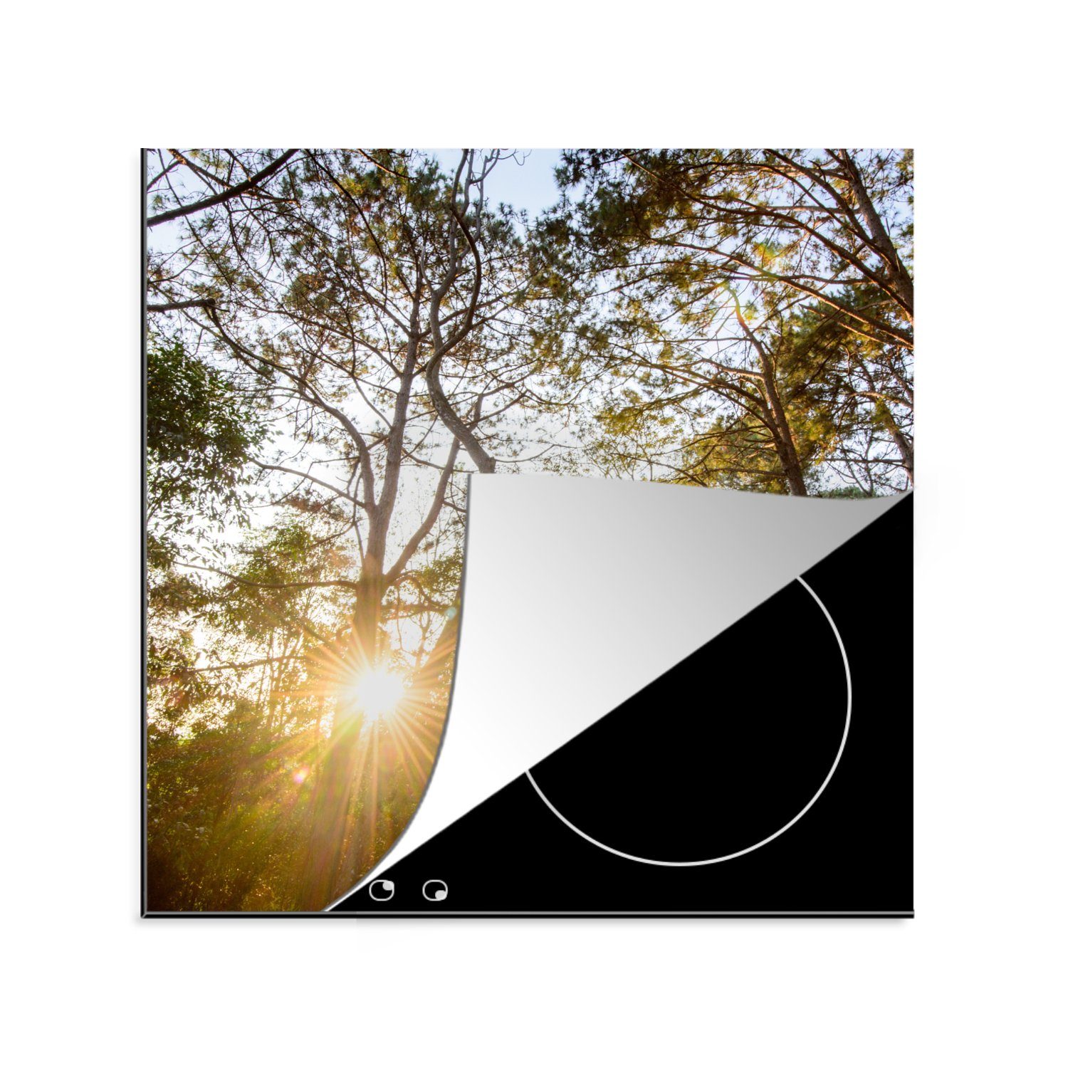 MuchoWow Herdblende-/Abdeckplatte Die Sonne geht zwischen den Bäumen im Wald des Phu Hin Rong, Vinyl, (1 tlg), 78x78 cm, Ceranfeldabdeckung, Arbeitsplatte für küche