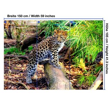 wandmotiv24 Fototapete Kleiner Leopard, glatt, Wandtapete, Motivtapete, matt, Vliestapete