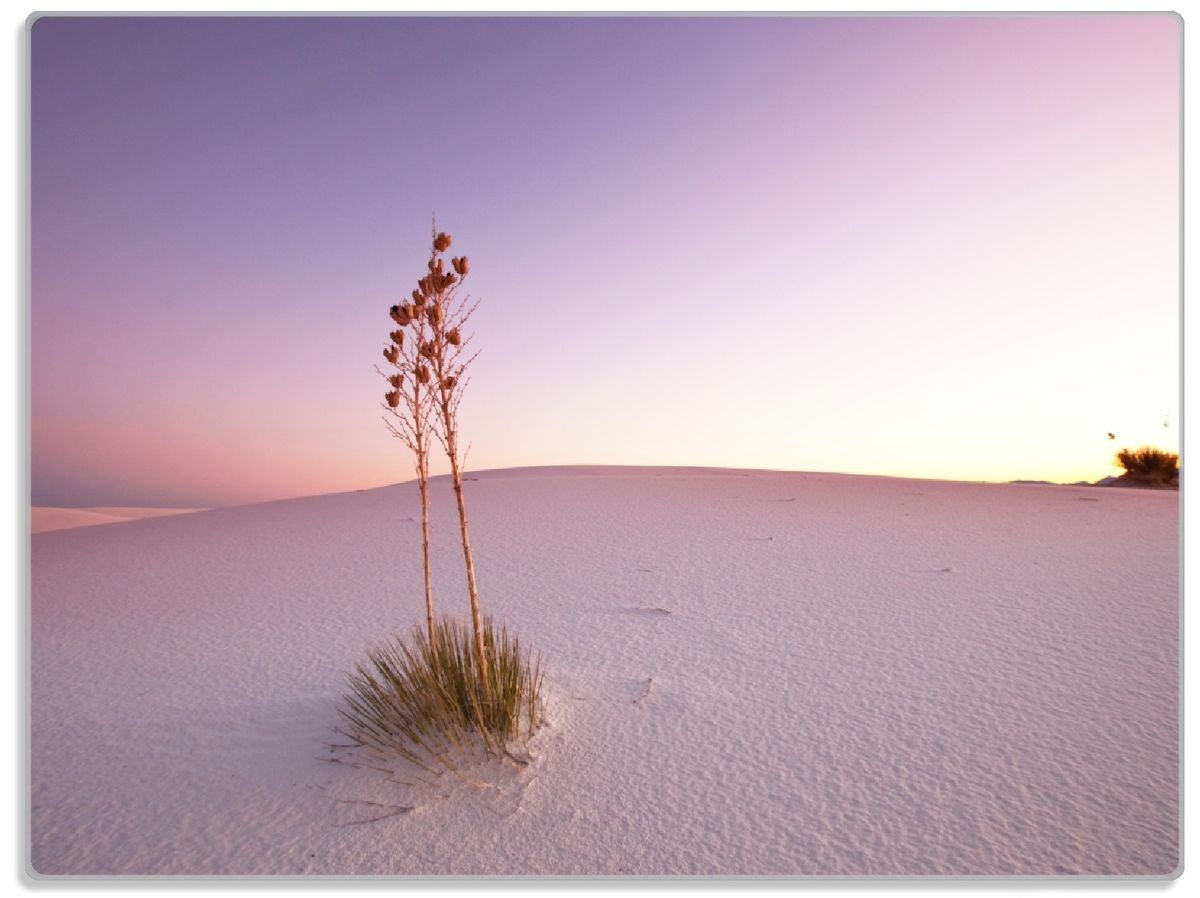 Wallario Schneidebrett Kleine Oase in der Wüste, ESG-Sicherheitsglas, (inkl. rutschfester Gummifüße 4mm, 1-St), 30x40cm