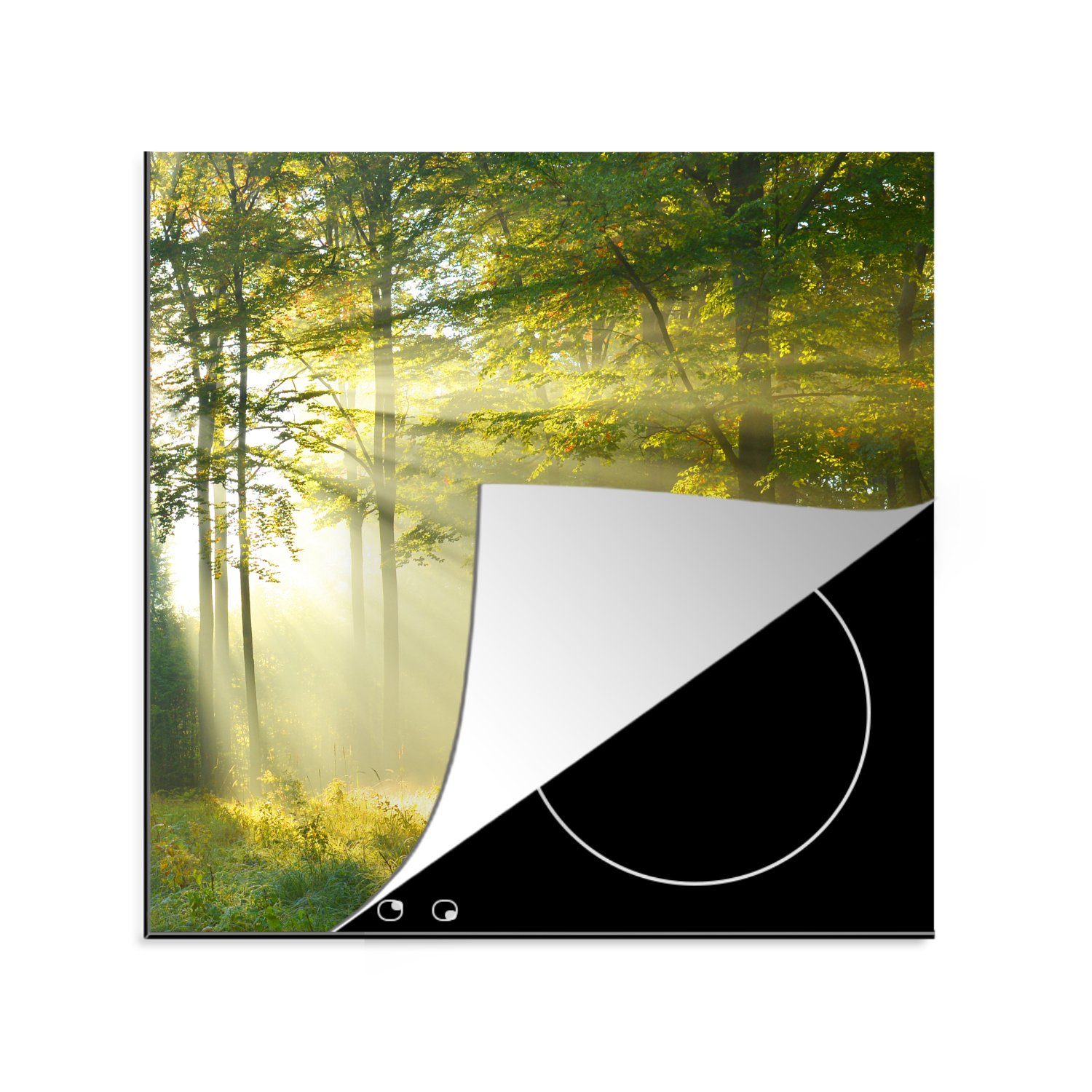 MuchoWow Herdblende-/Abdeckplatte Wald - Licht - Frühling, Vinyl, (1 tlg), 78x78 cm, Ceranfeldabdeckung, Arbeitsplatte für küche