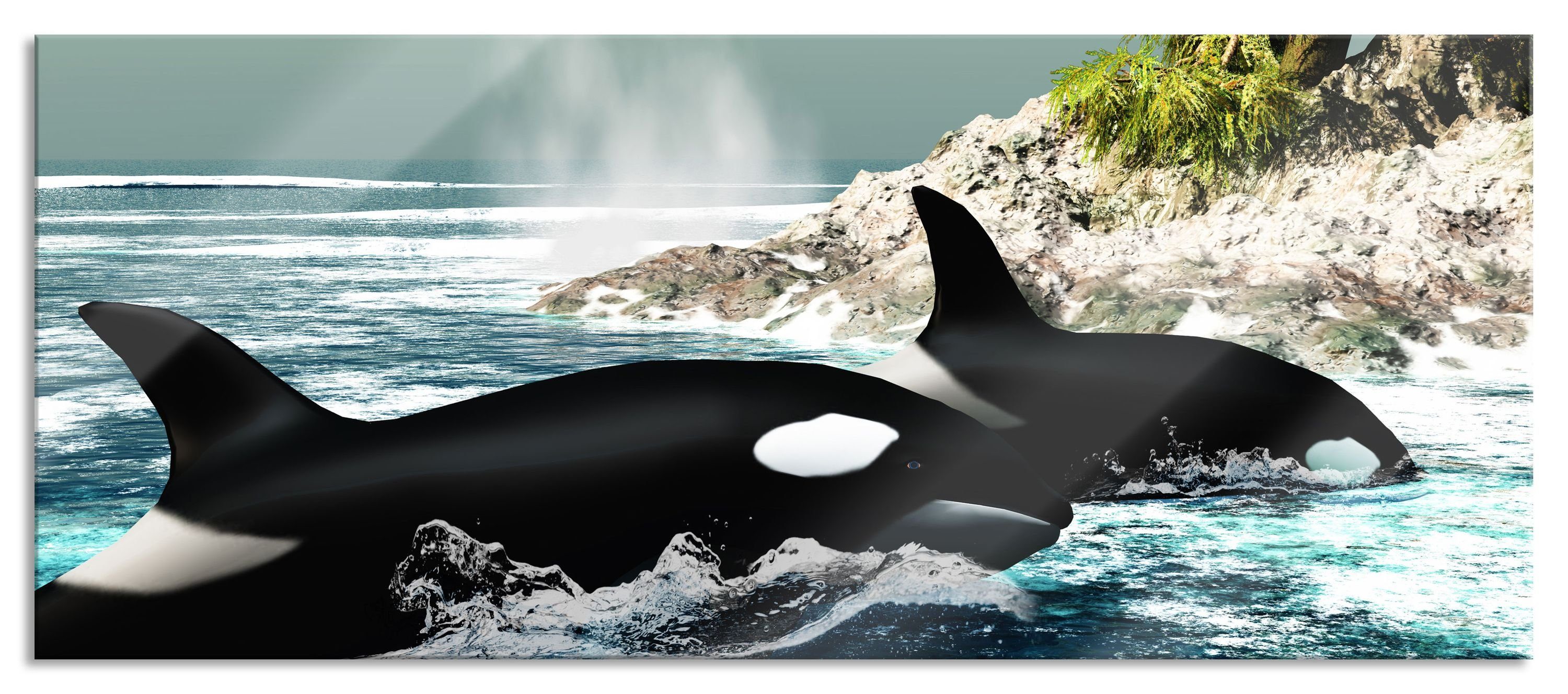 Pixxprint Glasbild Orcas vor Insel, Orcas vor Insel (1 St), Glasbild aus Echtglas, inkl. Aufhängungen und Abstandshalter | Bilder