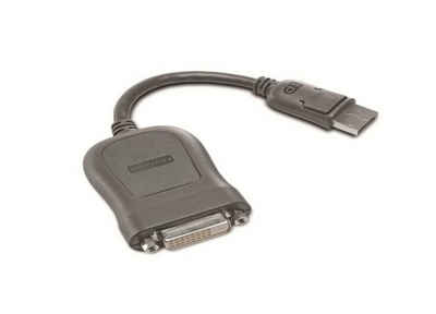 Lenovo Lenovo Displayport to DVI-D Adapter 45J7915 USB-Adapter
