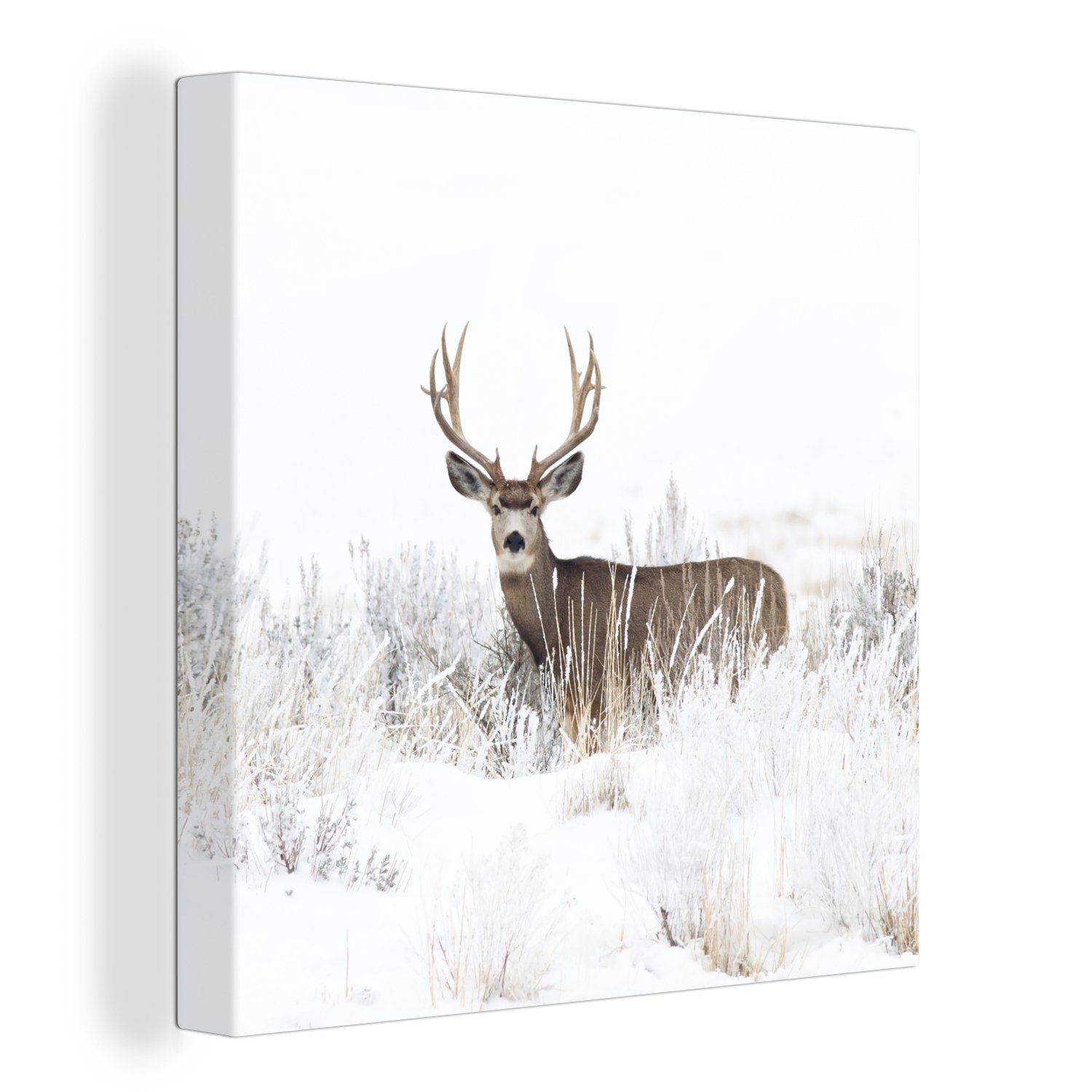 OneMillionCanvasses® Leinwandbild Hirsche - - - Weiß, Bilder (1 - - Leinwand Schnee St), Jahreszeiten für Winter Schlafzimmer Tiere Wohnzimmer