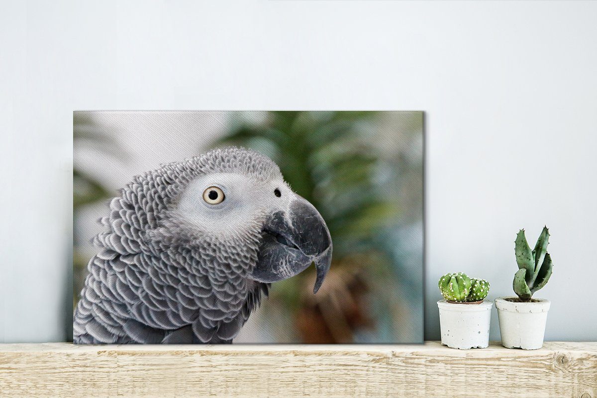 (1 Fell, oder seinem cm Graurotschwanz 30x20 Der Papagei mit St), Wandbild OneMillionCanvasses® Wanddeko, Leinwandbilder, schönen Leinwandbild Aufhängefertig,