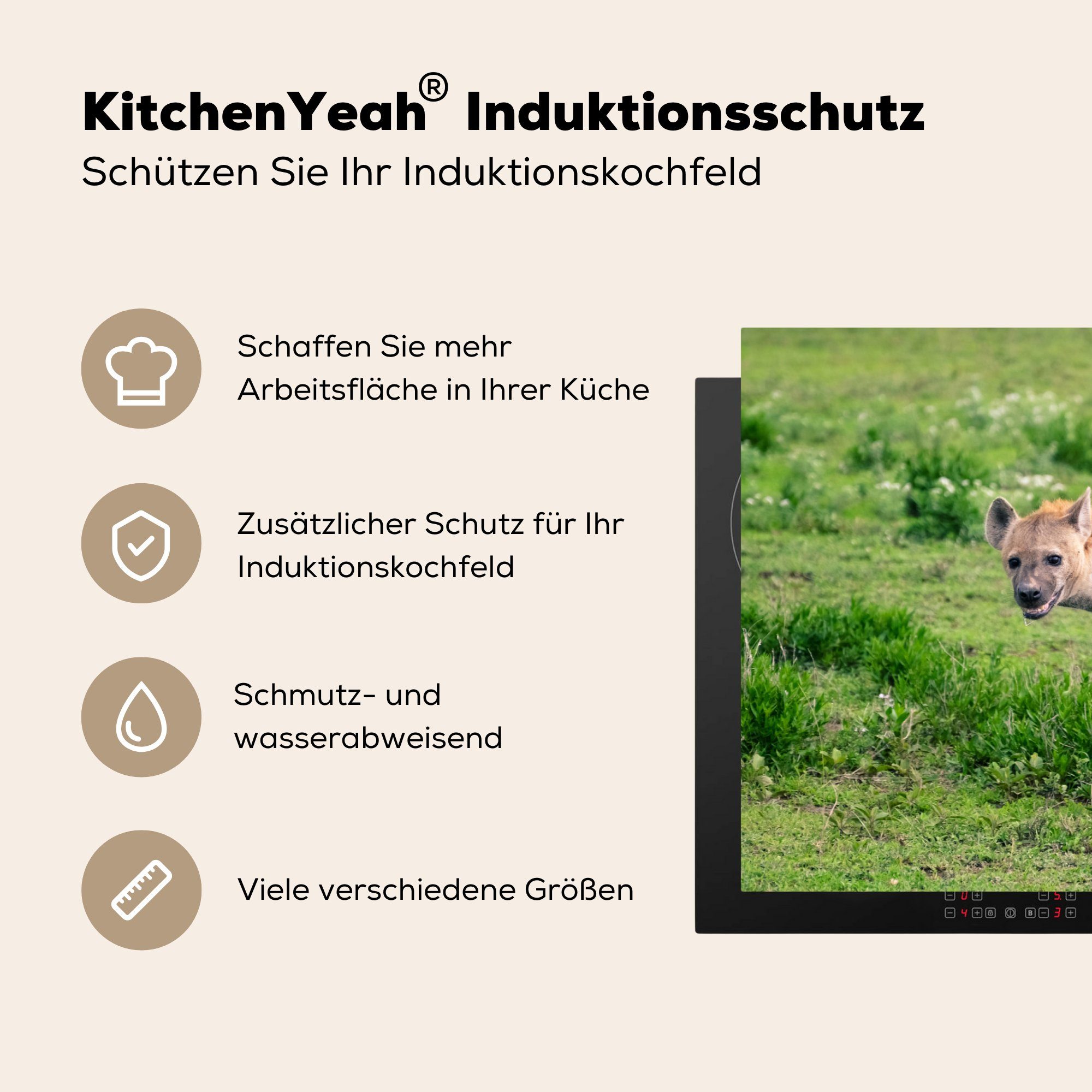 - Schutz Induktionskochfeld küche, - Herdblende-/Abdeckplatte die Hyäne Safari 81x52 (1 Ceranfeldabdeckung Gras, Vinyl, MuchoWow cm, für tlg),