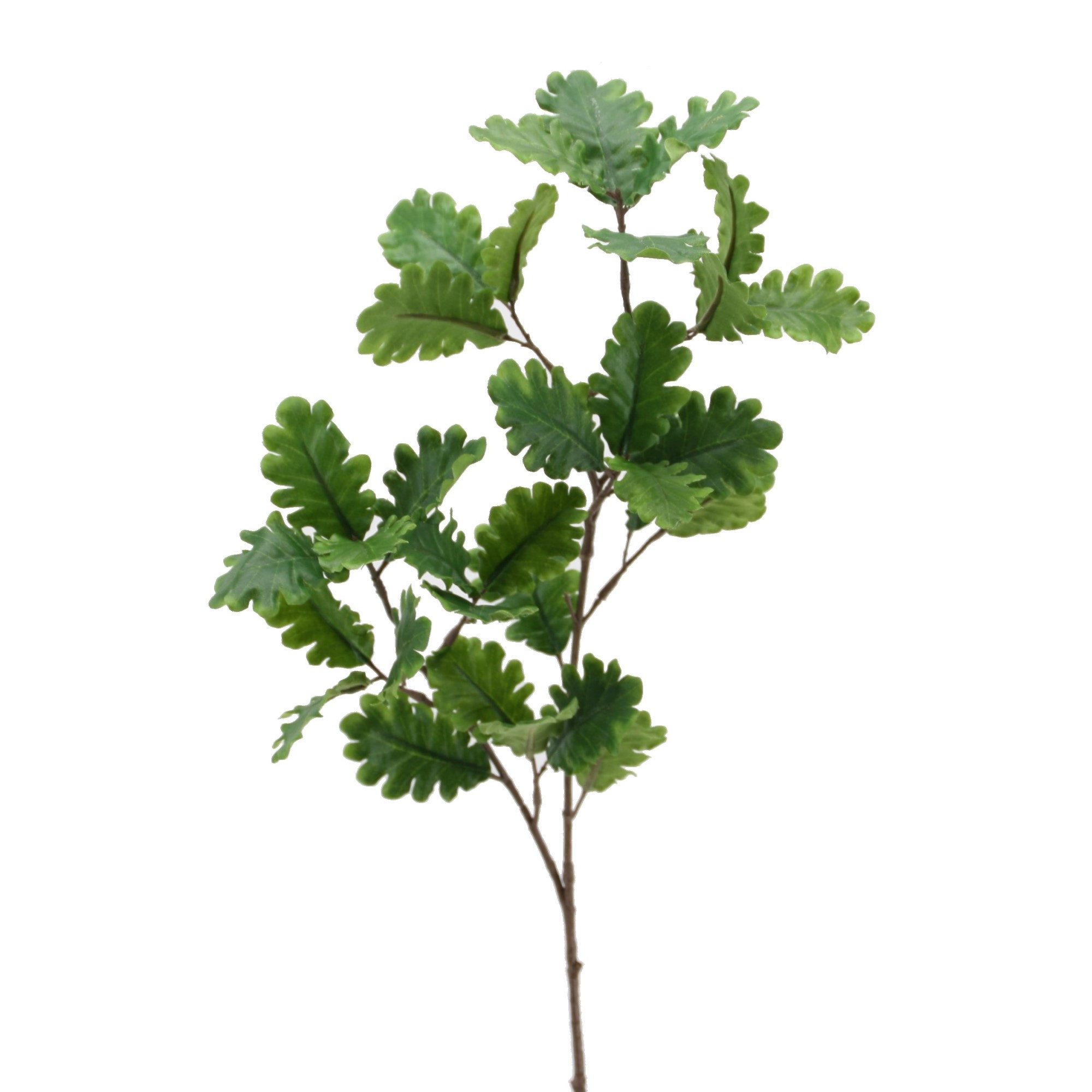 Kunstzweig Künstlicher Eichenzweig ca. 68cm. Eichenlaub, Eichenzweig GRÜN, Floratexx GmbH, Höhe 68.00 cm