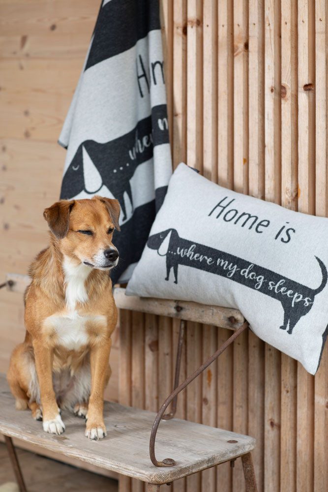 DAVID FUSSENEGGER Hundematte Hundedecke 'Dackel' 100 günstig online kaufen