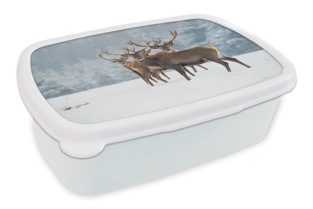MuchoWow Lunchbox Hirsche - Tiere - Schnee - Winter - Landschaft - Natur, Kunststoff, (2-tlg), Brotbox für Kinder und Erwachsene, Brotdose, für Jungs und Mädchen weiß