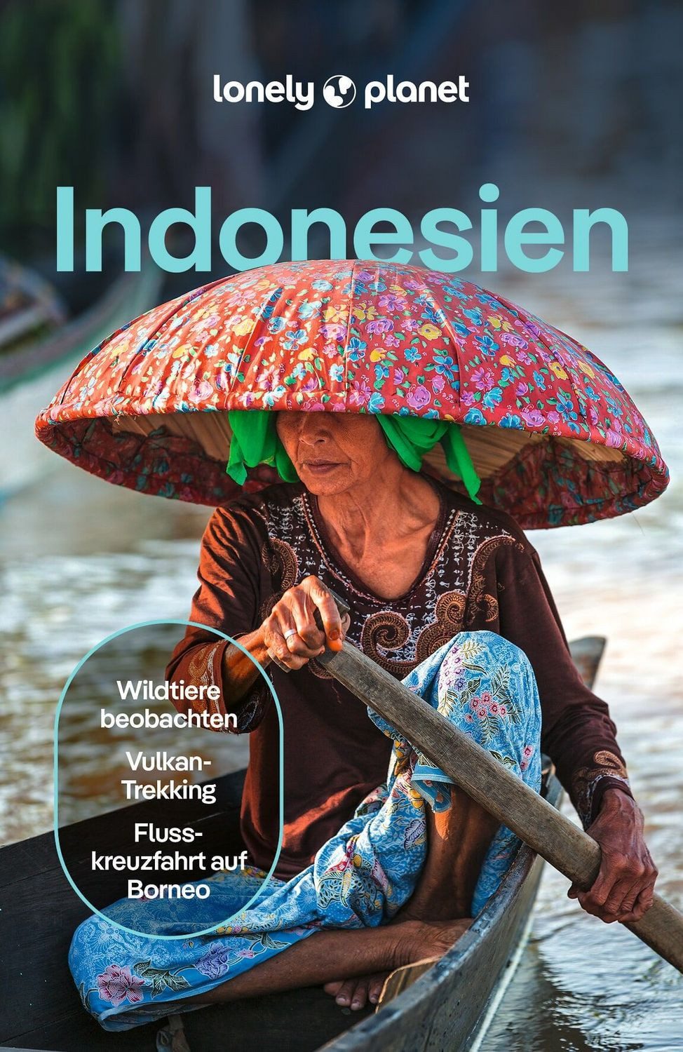Reiseführer Indonesien / David Eimer, Jason Lee, Jayne D'Arcy, Mark Johanson, Regis St. Louis