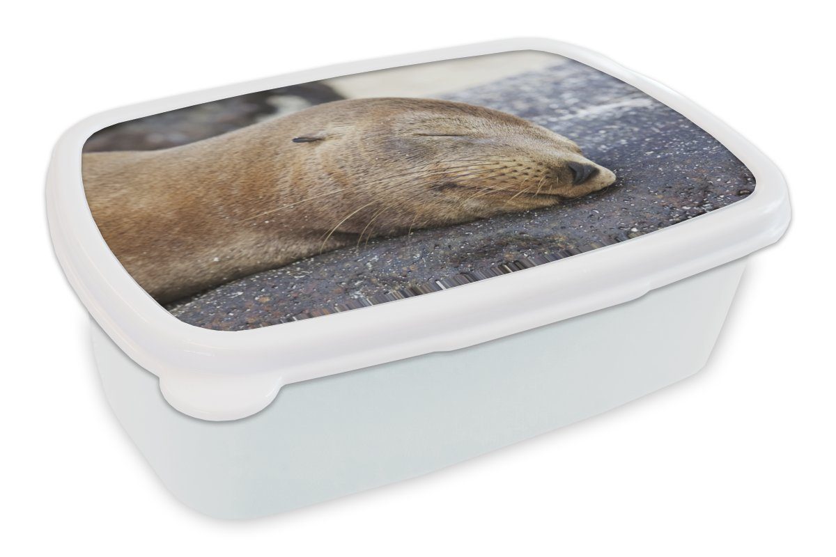 MuchoWow Lunchbox Nahaufnahme - Tiere - Steine, Kunststoff, (2-tlg), Brotbox für Kinder und Erwachsene, Brotdose, für Jungs und Mädchen weiß