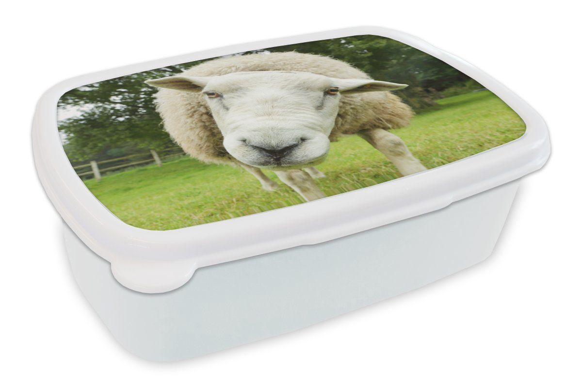 MuchoWow Lunchbox Schaf - Gras - Baum, Kunststoff, (2-tlg), Brotbox für Kinder und Erwachsene, Brotdose, für Jungs und Mädchen weiß