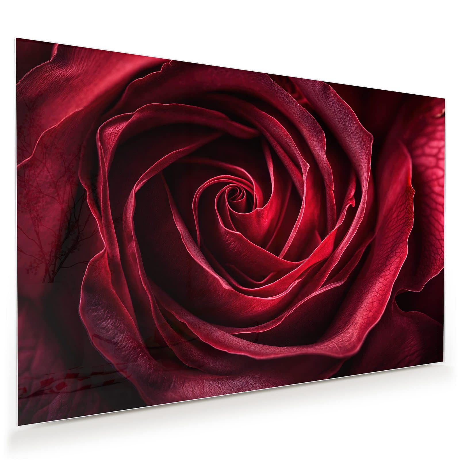 Primedeco Glasbild Wandbild Rose Makroaufnahme mit Aufhängung, Blumen & Pflanzen (21 verschiedene Größen, 1 St), Elegante Aufhängung