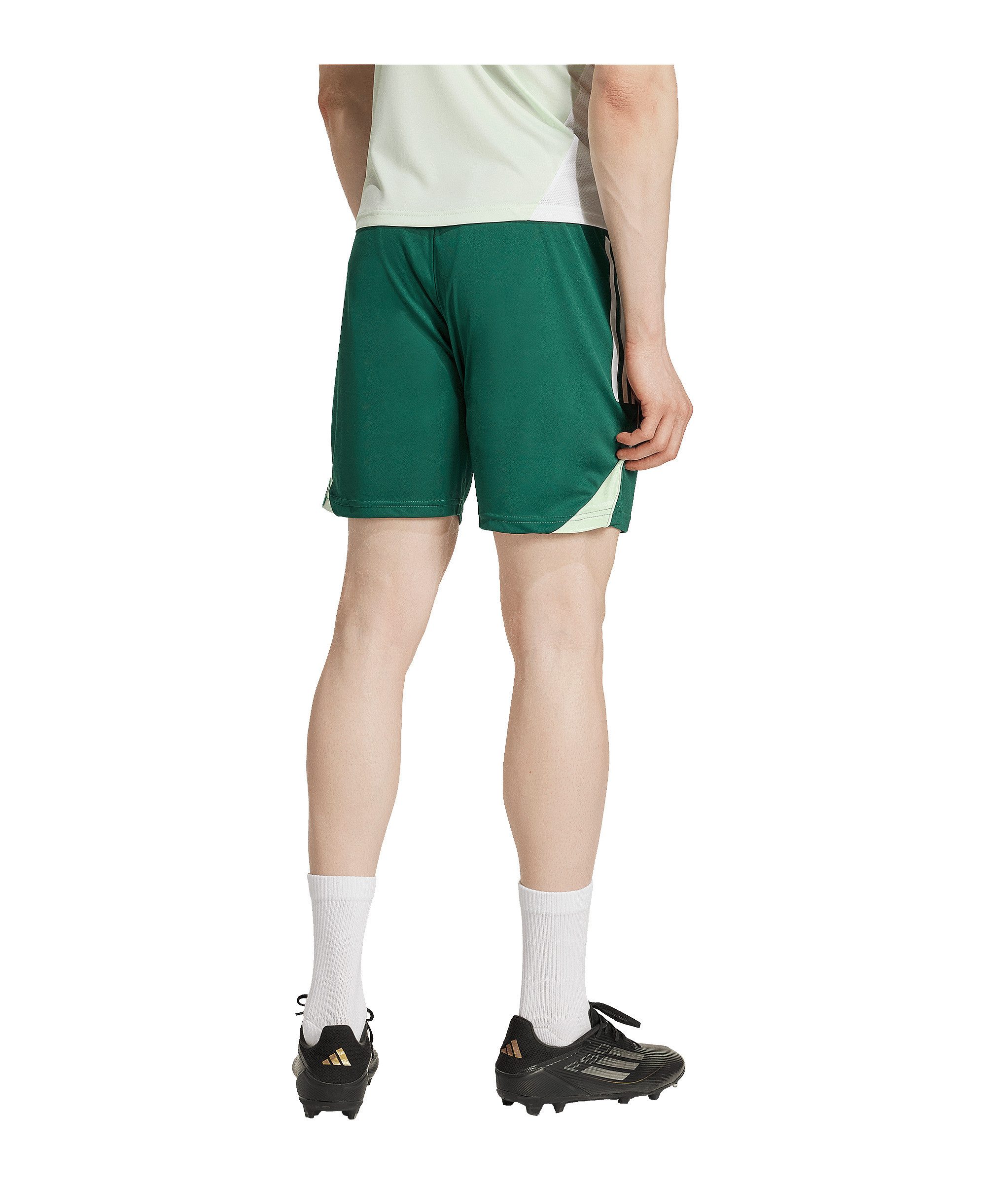 adidas Performance Sporthose adidas Performance Tiro günstig online kaufen