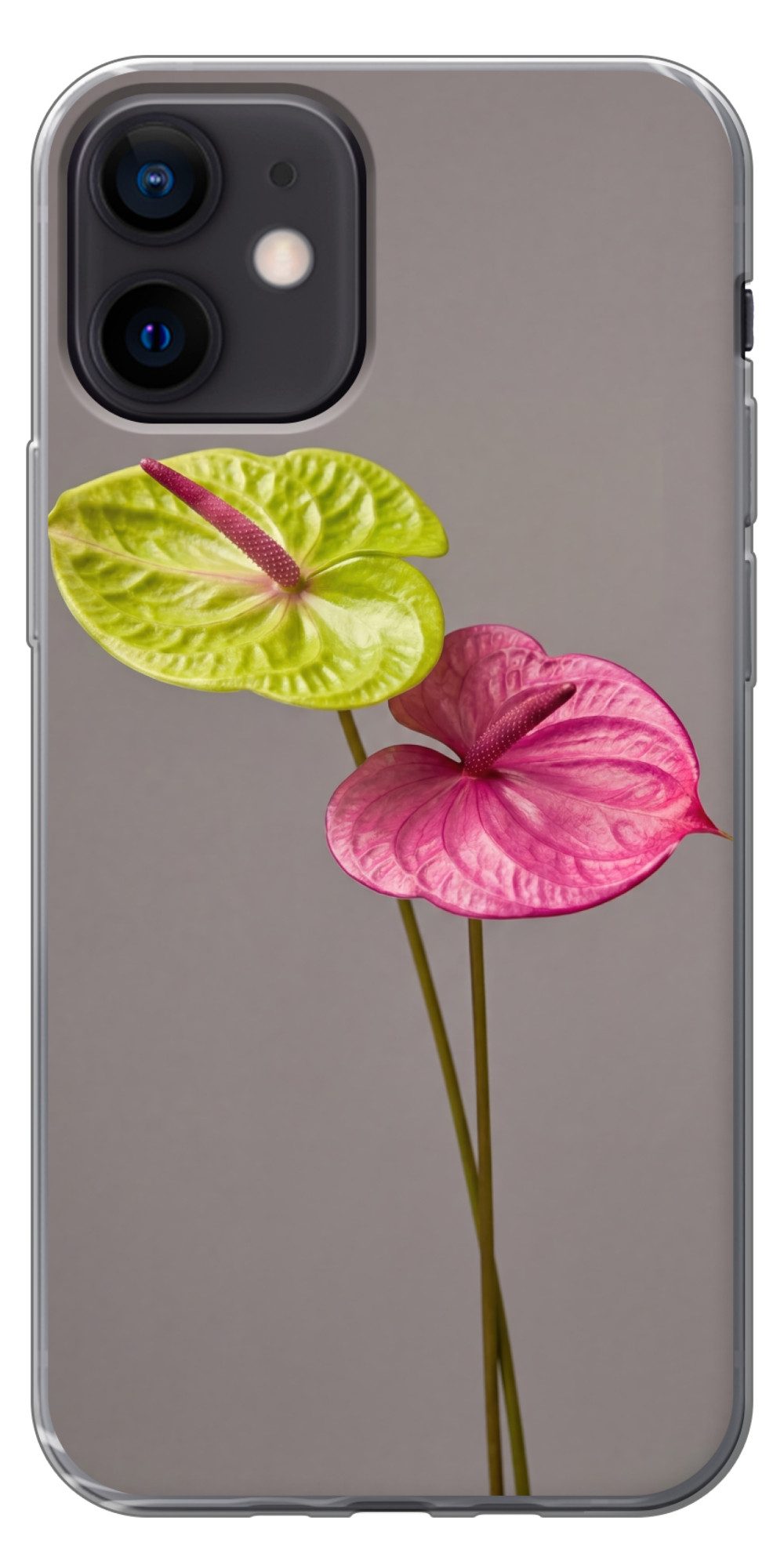 MuchoWow Handyhülle für Apple iPhone 12 Pro Pflanzen - Anthurium - Grün - Rosa, Smartphone-Bumper, Print, Handy Schutzhülle Dünn