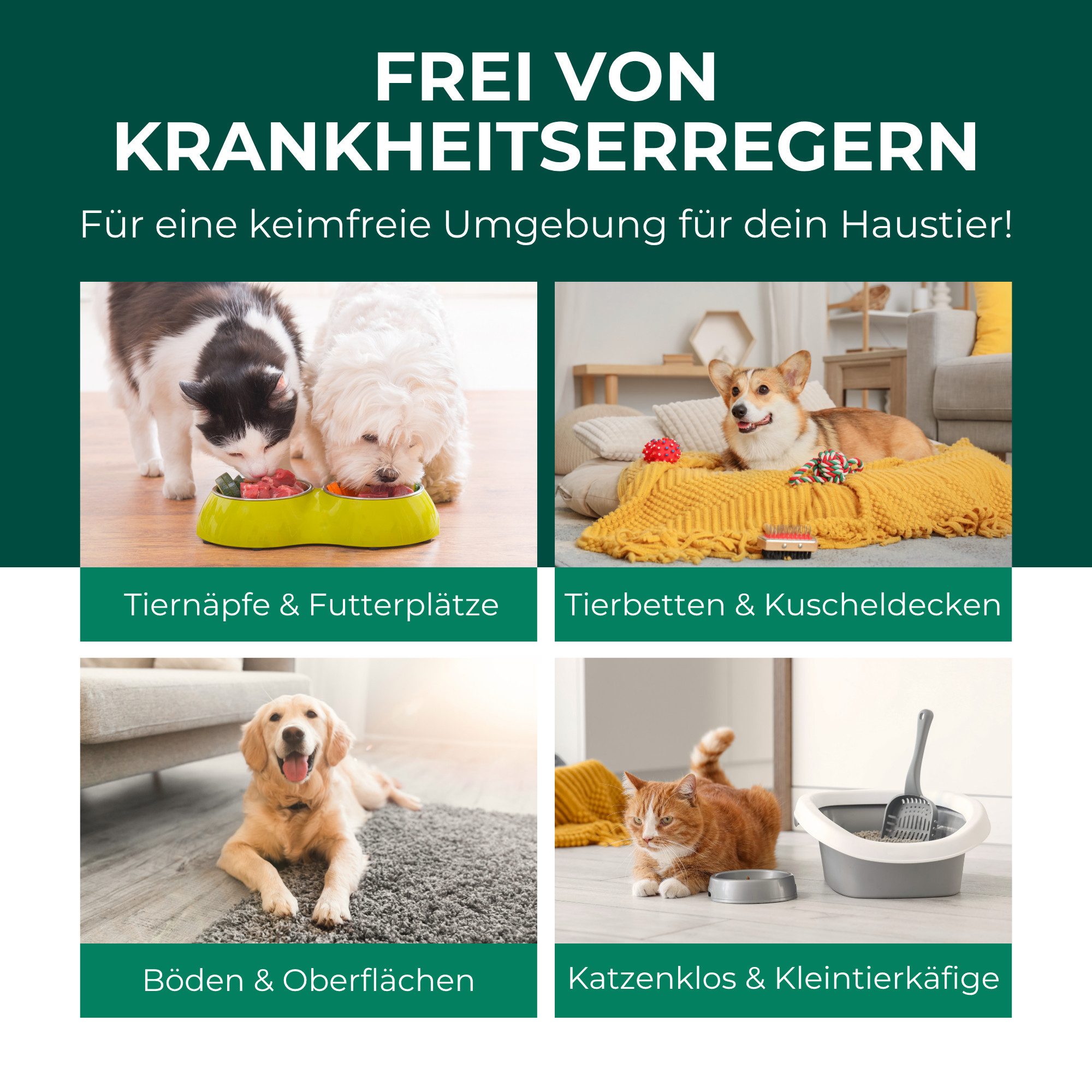 Silberkraft Giardienspray – Gegen Giardien, Viren, Bakterien & Pilze inkl. E-Book Oberflächen-Desinfektionsmittel (tiergeeignet, geruchsneutral, für Oberflächen & Textilien, Alkoholfrei, [1-St. Spray gegen Giardien & Keime Hygienereiniger für Hund & Katze Giardien Spray Vielseitiger Schutz gegen Keime + kostenloses E-Book)