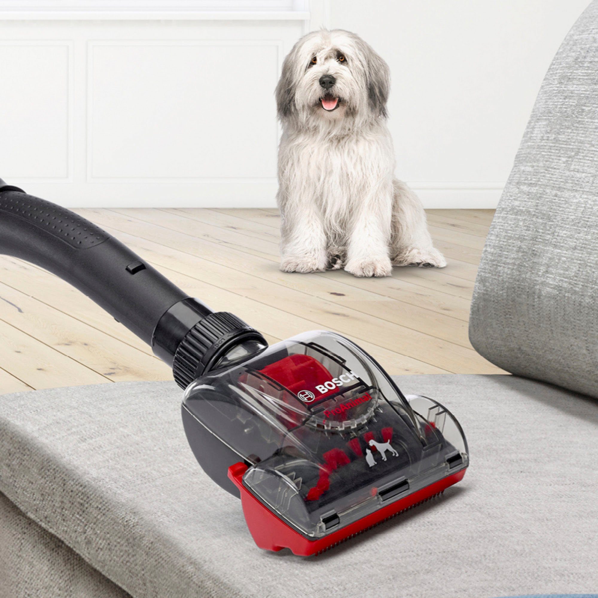BOSCH Bodenstaubsauger Serie 6 ProAnimal BGC41PET, ideal für Tierhaare, Hygiene-Filter, 750 W, beutellos, 10 Jahre Motorgarantie, für Parkett/Teppich/Fliesen, Turbo-Düse, rot