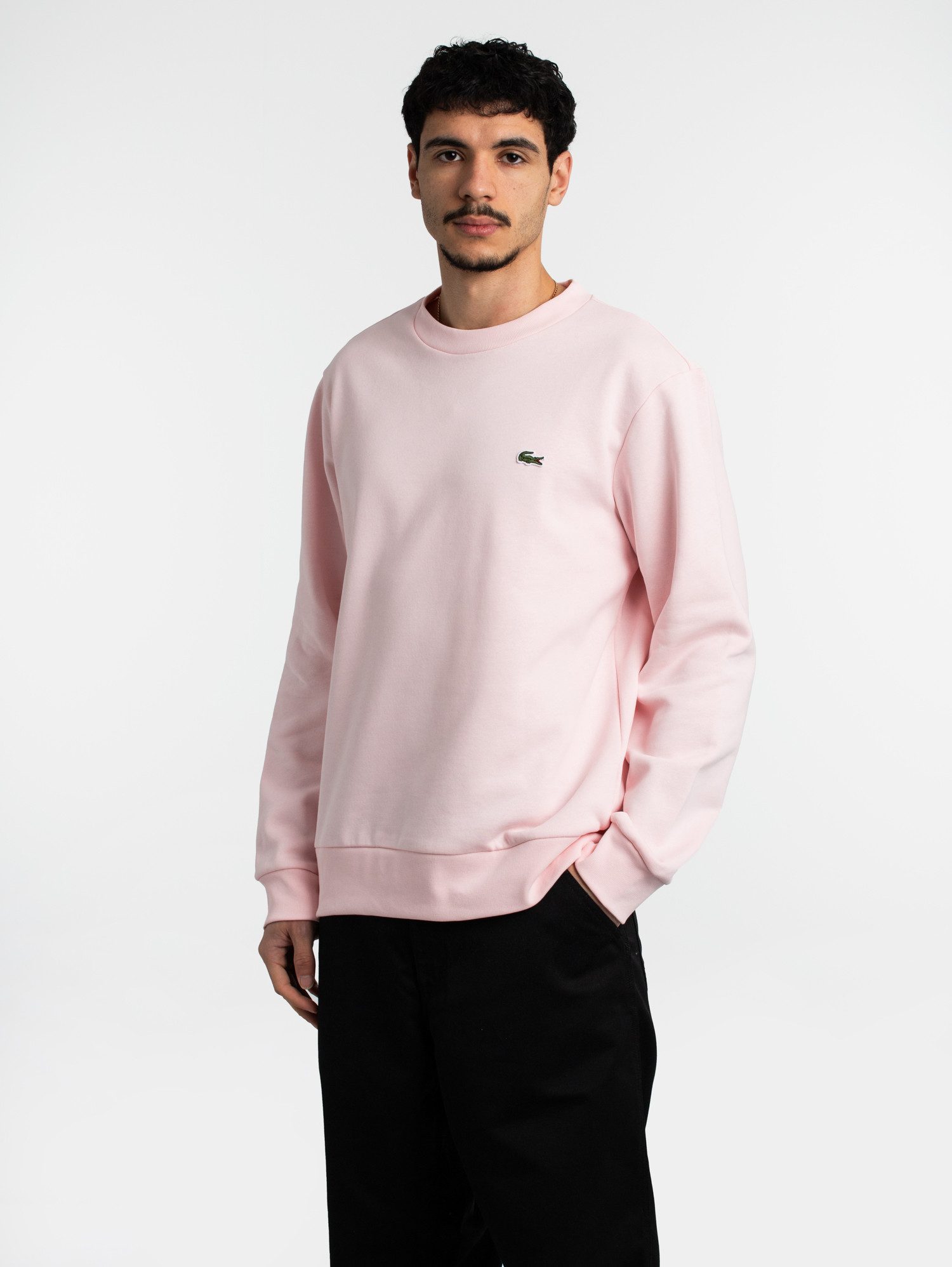 Lacoste Sweater Lacoste Small Logo Sweater günstig online kaufen