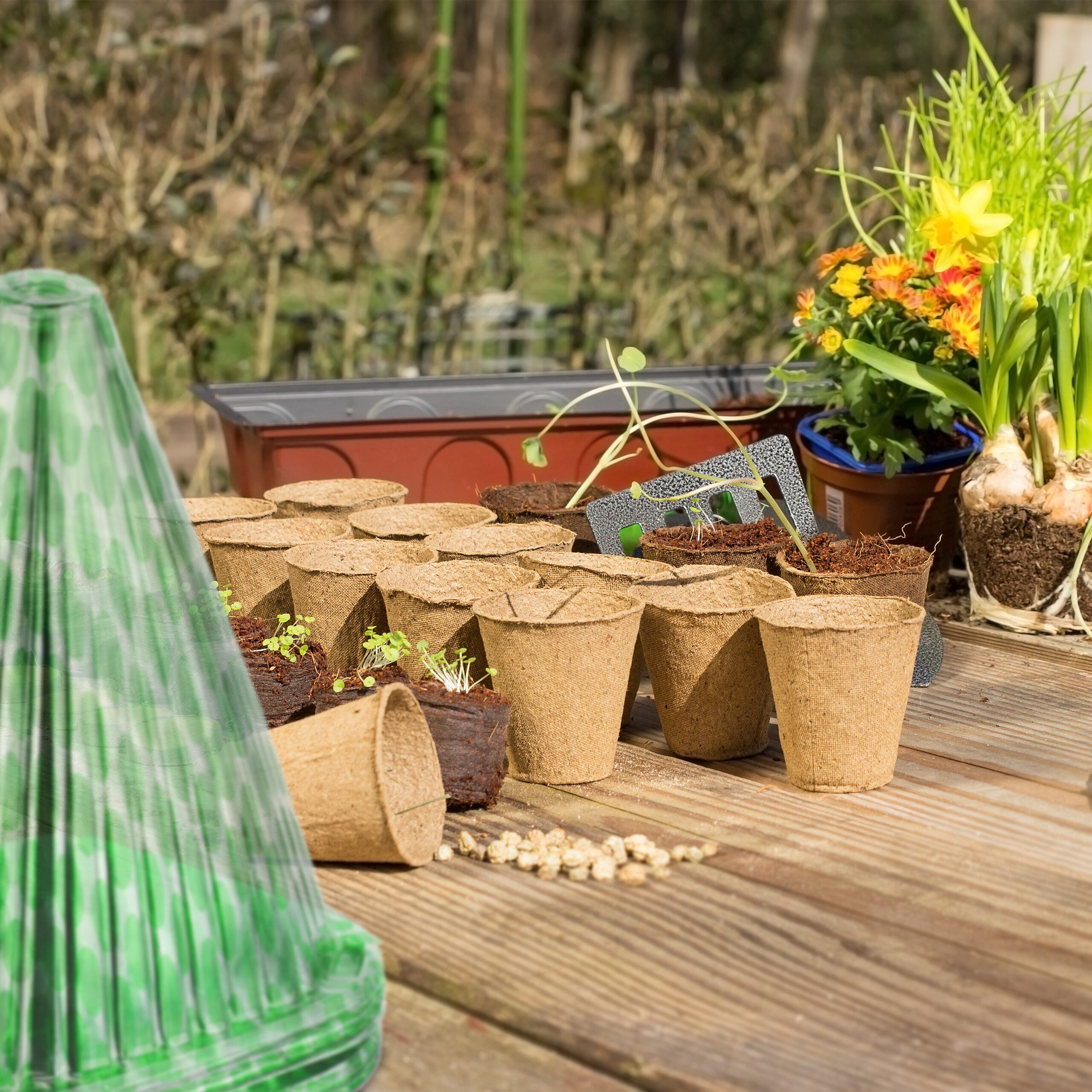 relaxdays Pflanzenschutzdach Gepunkteter Pflanzenhut im 10er Set, Set, 10er Set