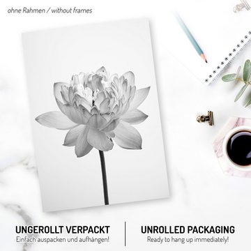 Kreative Feder Poster 6-teiliges Premium-Set „Blüten“ - optional mit Rahmen, Blumen, Natur, Blätter, Schmetterling (Set, 6 St), hochwertiger Kunstdruck; 2x DIN A3 & 4x DIN A4