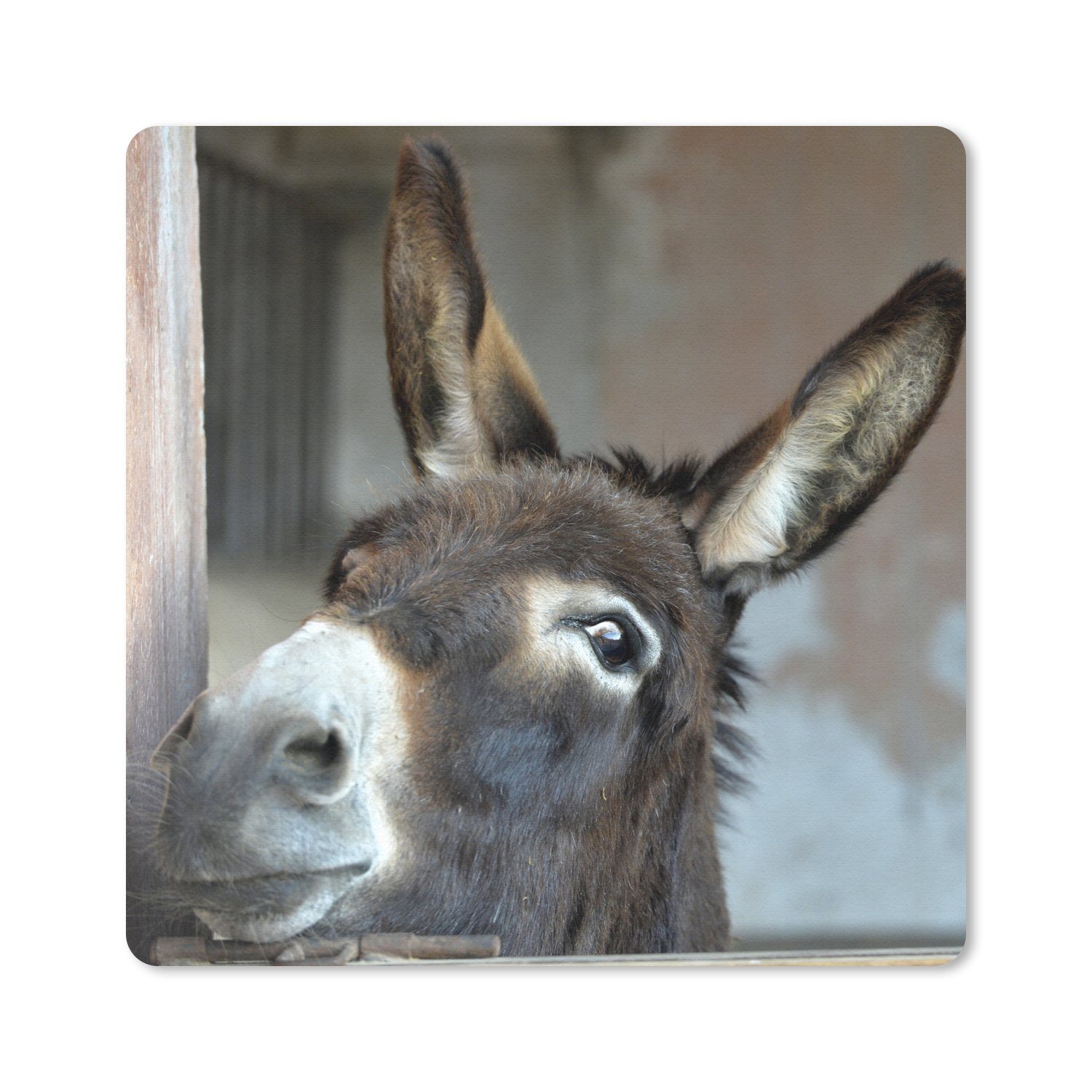 MuchoWow Mauspad Esel (1-St), Mousepad, Schreibtisch Zubehör, Deko, 20x20 cm