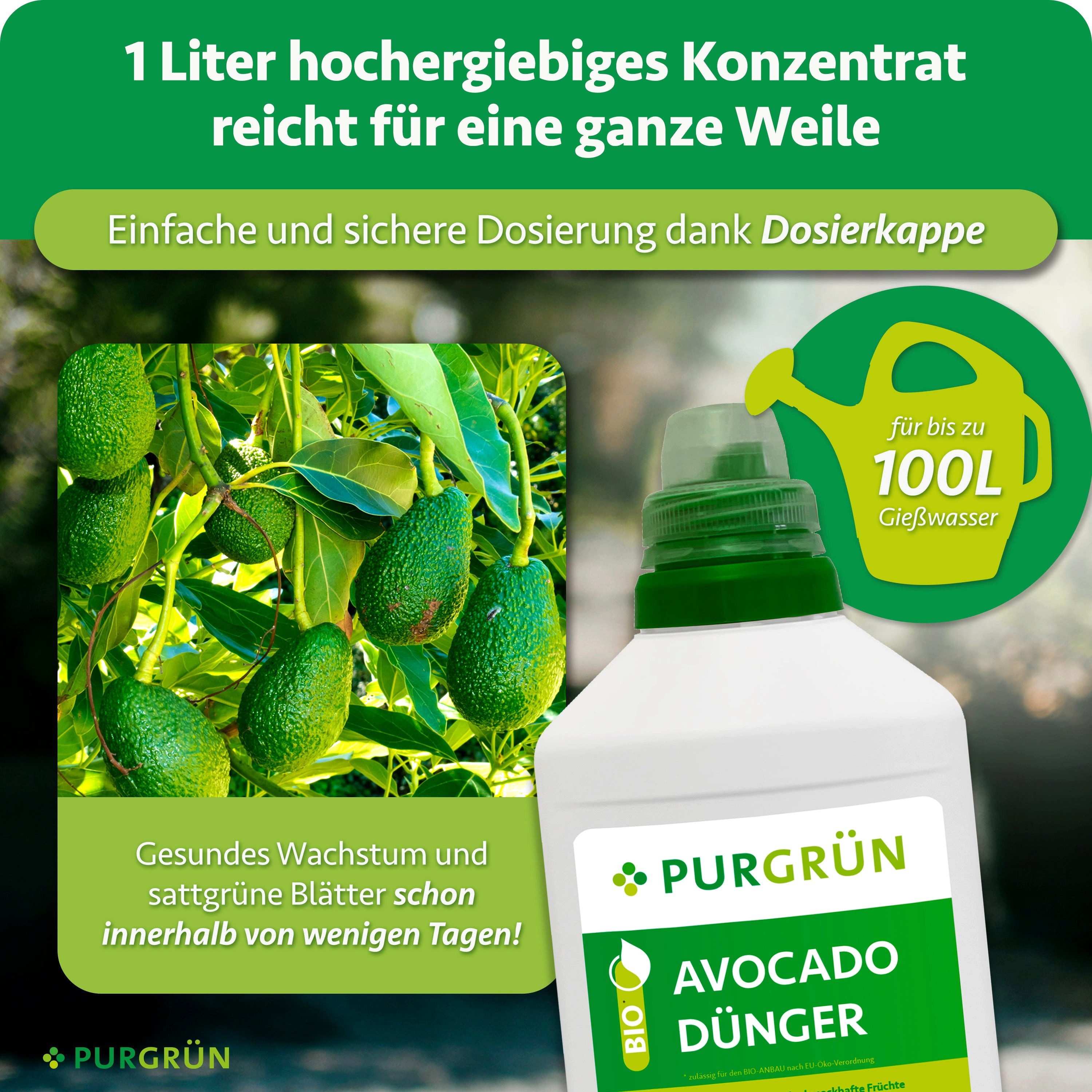 Purgrün Gemüsedünger Bio Avocado Dünger, NPK 4+1+7, Algenextrakt, 1 Liter, Flüssigdünger, 1-St., 1 Liter – Bild 4 von 5