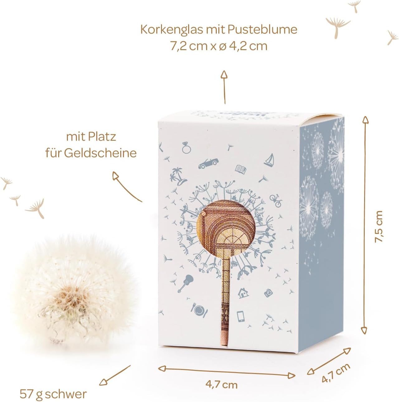 Die Stadtgärtner Spardose Kreative Verpackung zum Geld verschenken, Wunscherfüller Pusteblume