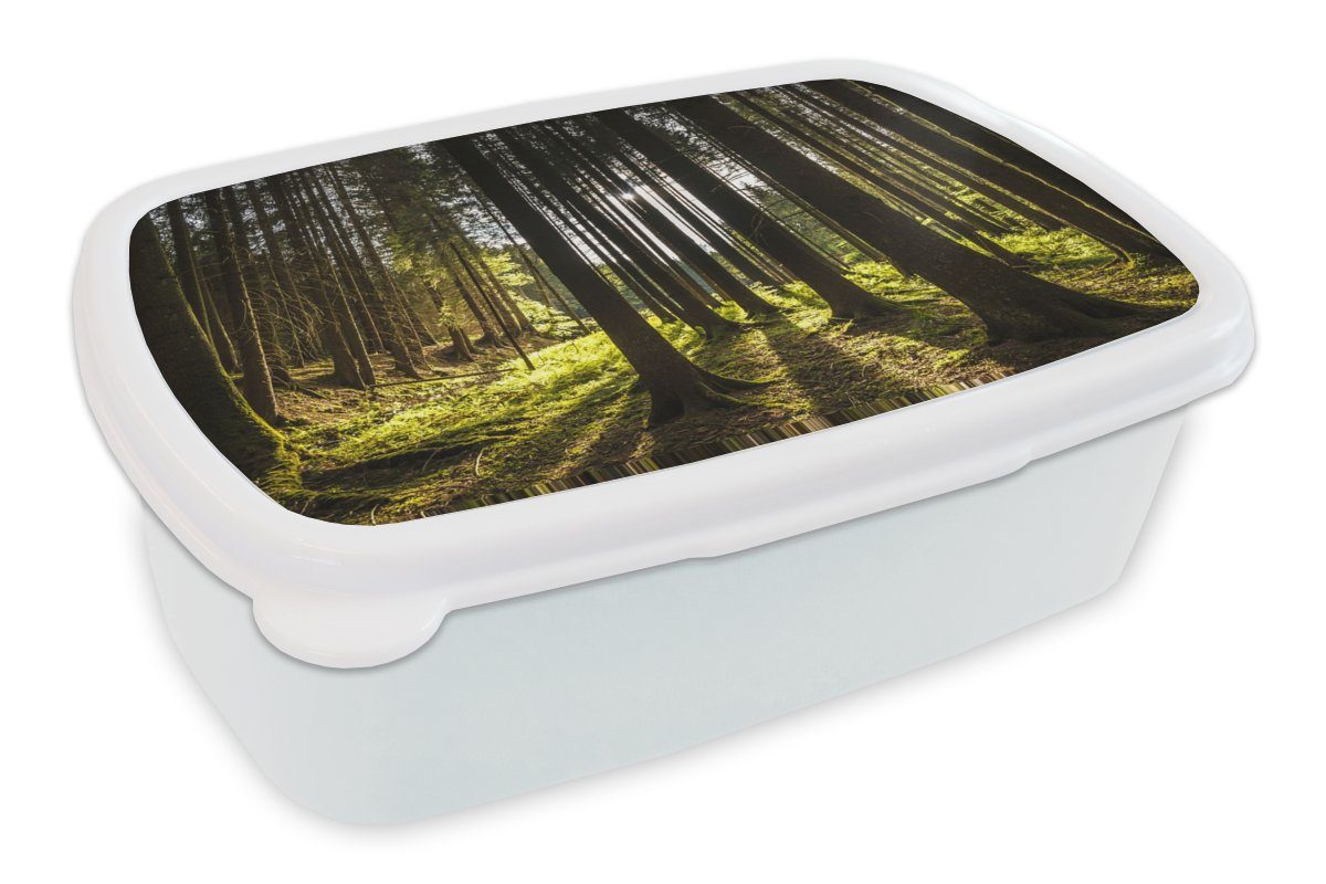 MuchoWow Lunchbox Baum - Natur - Sonne - Wald, Kunststoff, (2-tlg), Brotbox für Kinder und Erwachsene, Brotdose, für Jungs und Mädchen weiß