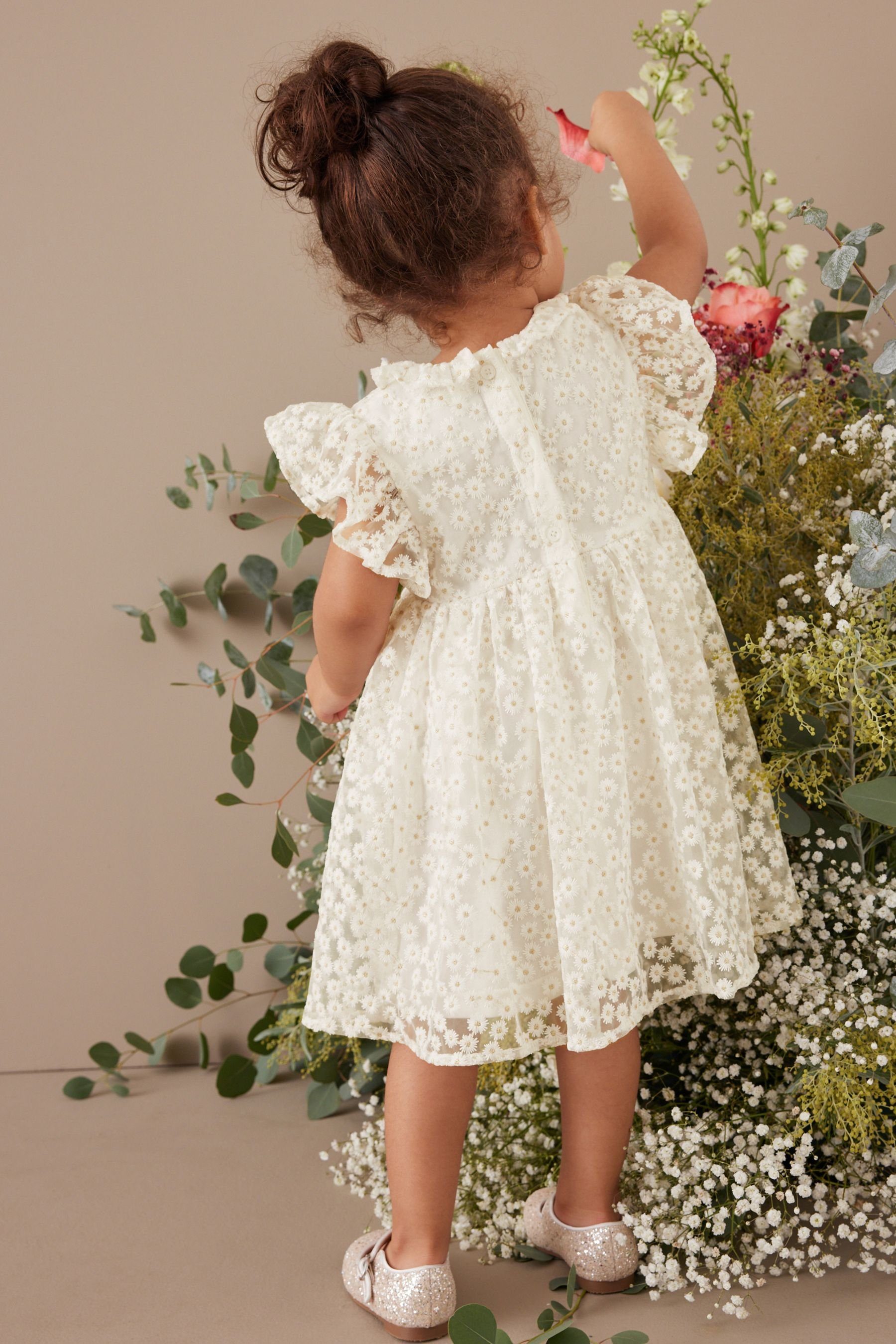 Next Spitzenkleid Kleid mit kurzen Rüschenärmel (1-tlg) White