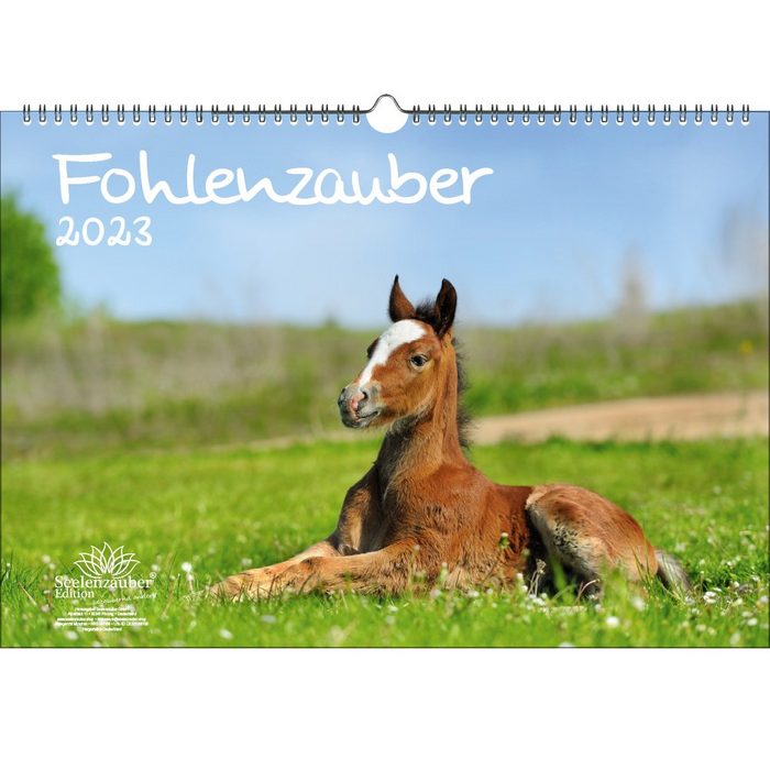 Seelenzauber Wandkalender Fohlenzauber DIN A3 Kalender für 2023 Pferde und Fohlen - Seelenzauber