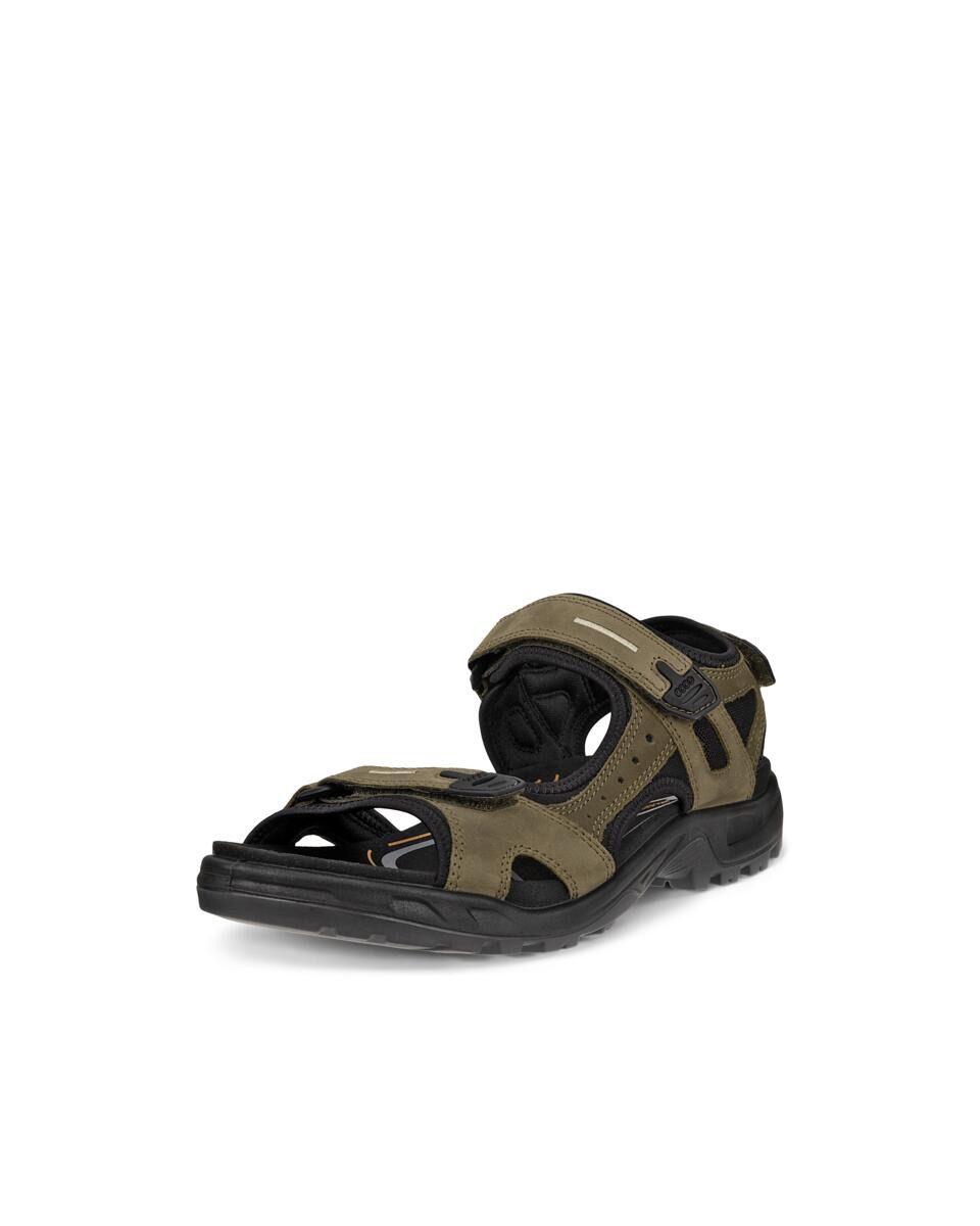 Ecco Offroad Outdoorsandale Sommerschuh, Klettschuh, Outdoorschuh, in Trekk günstig online kaufen