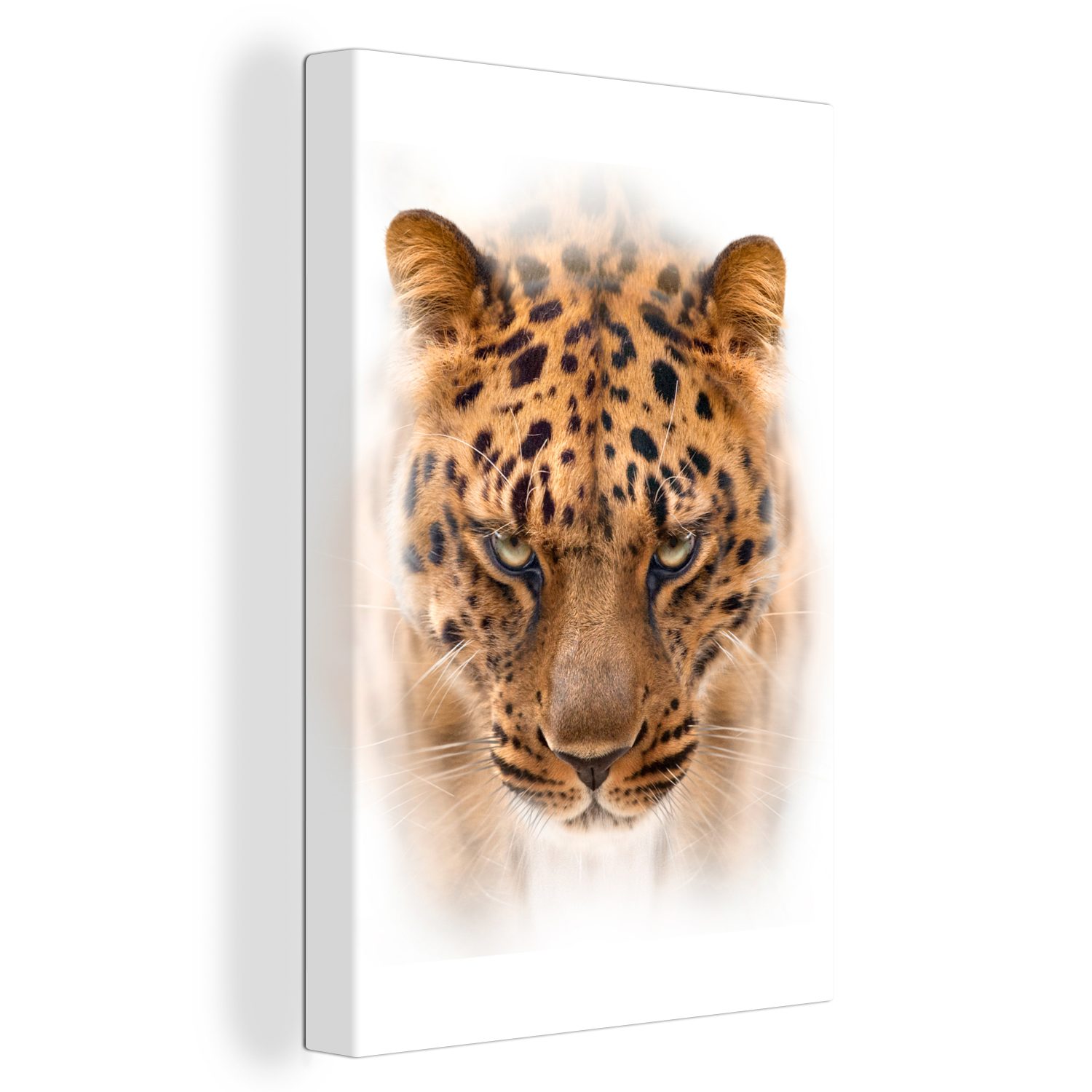 OneMillionCanvasses® Leinwandbild Kopf Leinwandbild Zackenaufhänger, St), 20x30 - Gemälde, - bespannt Leopard cm Weiß, fertig (1 inkl