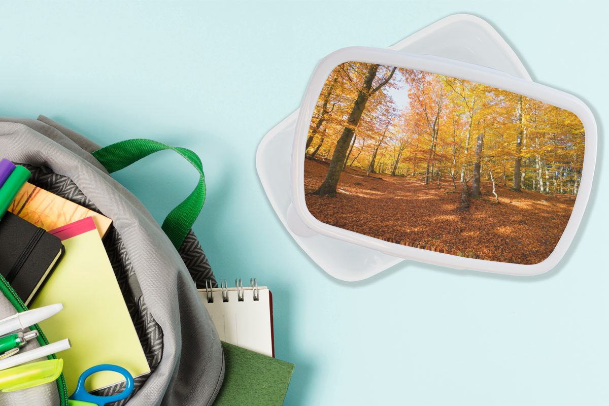Herbstfarben, Kunststoff, Lunchbox Jungs mit Buchenwald Brotbox Brotdose, Kinder für Erwachsene, (2-tlg), für und weiß und Mädchen MuchoWow
