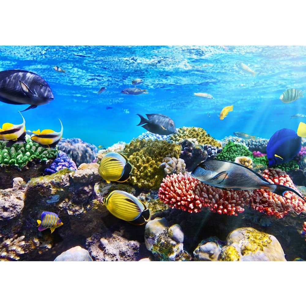 liwwing Fototapete Fototapete Aquarium Unterwasser Meer Fische Riff Korallenrif liwwing no. 105, Tiere