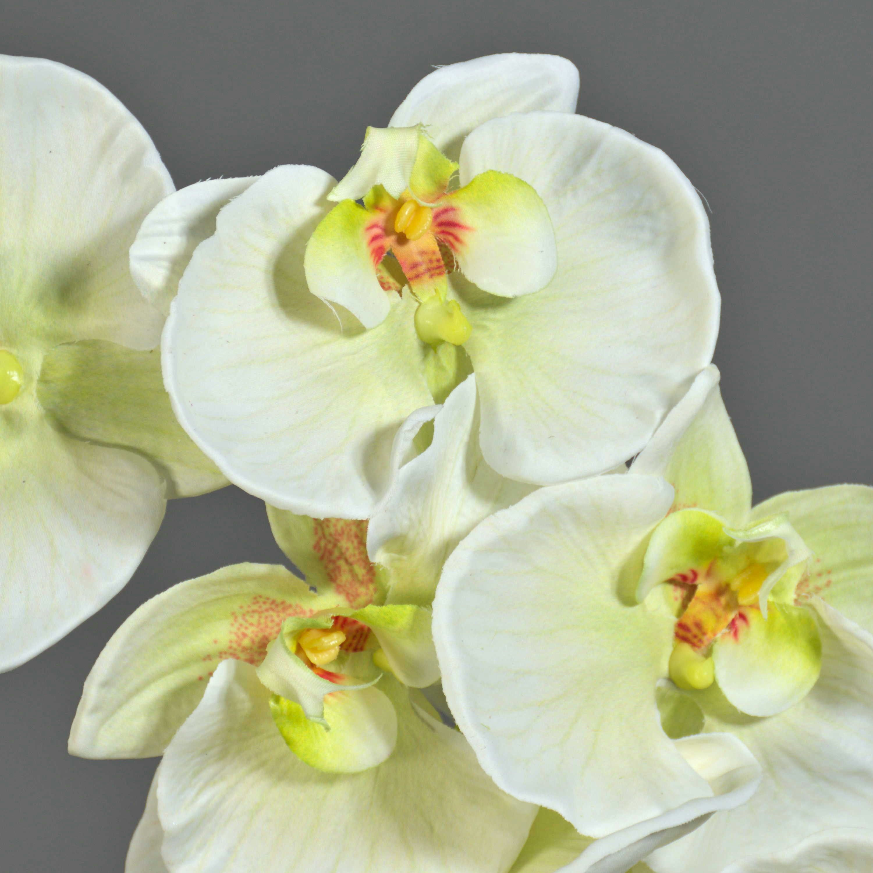 Kunstorchidee Kunststoff Phalaenopsis Orchidee WESA, weiß-grün, 100cm Orchidee (Orchidee phalaenopsis), artplants, Höhe 90.0 cm