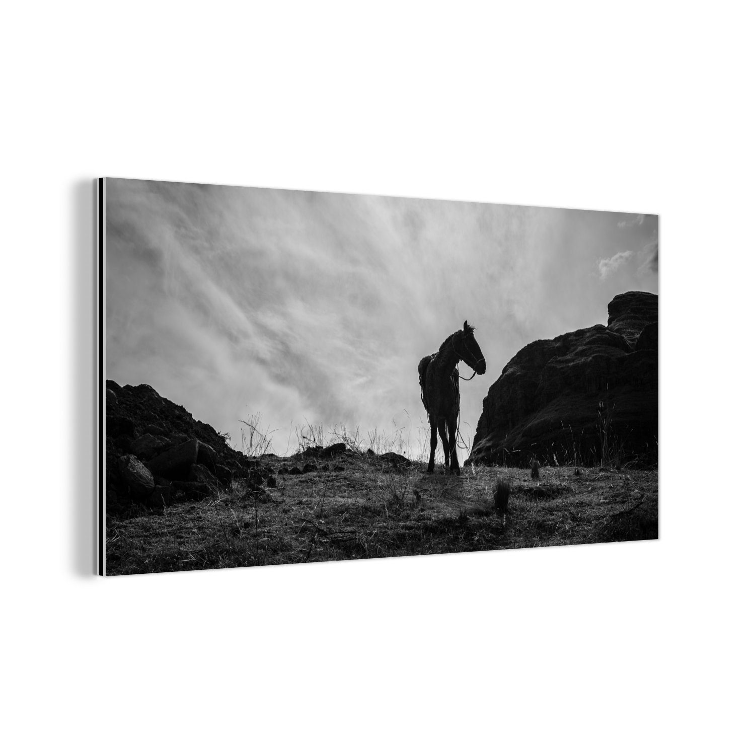 MuchoWow Metallbild Wanddekoration Metall Metallbild Wandkunst Pferd - Wolken - Wiese, (1 St)