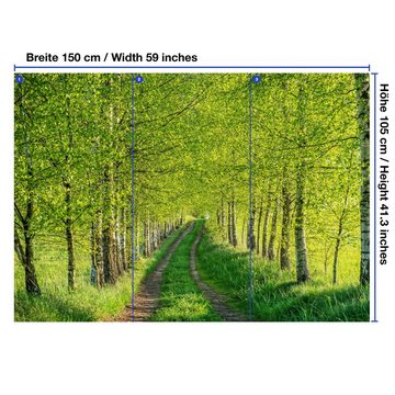 wandmotiv24 Fototapete Birkenwald Wege Bäume Gräser, glatt, Wandtapete, Motivtapete, matt, Vliestapete