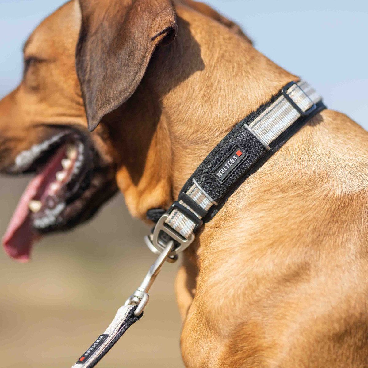 Wolters Hunde-Halsband Halsband Active Pro silber/beige