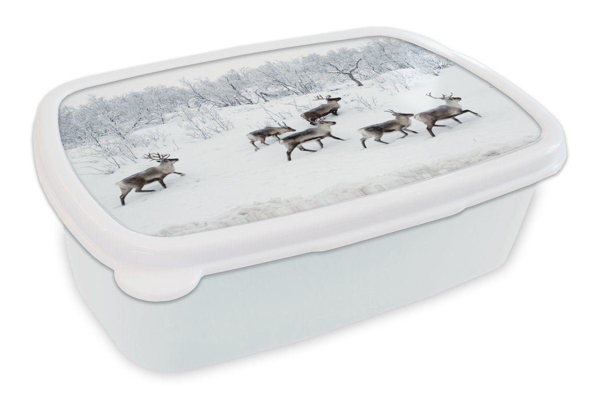 MuchoWow Lunchbox Rentier - Schnee - Wald - Winter, Kunststoff, (2-tlg), Brotbox für Kinder und Erwachsene, Brotdose, für Jungs und Mädchen weiß