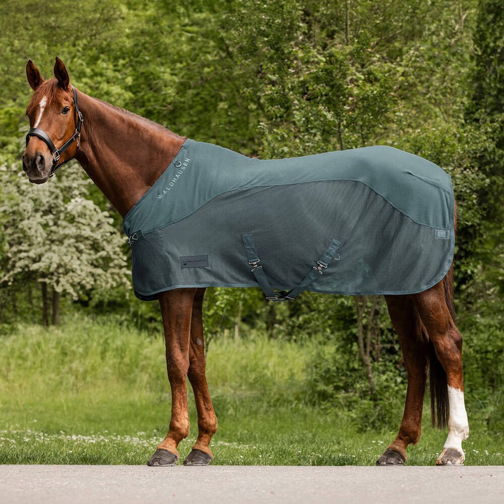 Pferde-Fliegendecke Waldhausen Fleece/Fliegendecke Comfort