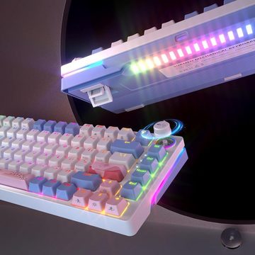SOLIDEE RGB-Hintergrundbeleuchtung Tastatur (Mechanischen Tastaturen mit Hot-Swap-Sockeln, individuell wählbaren)