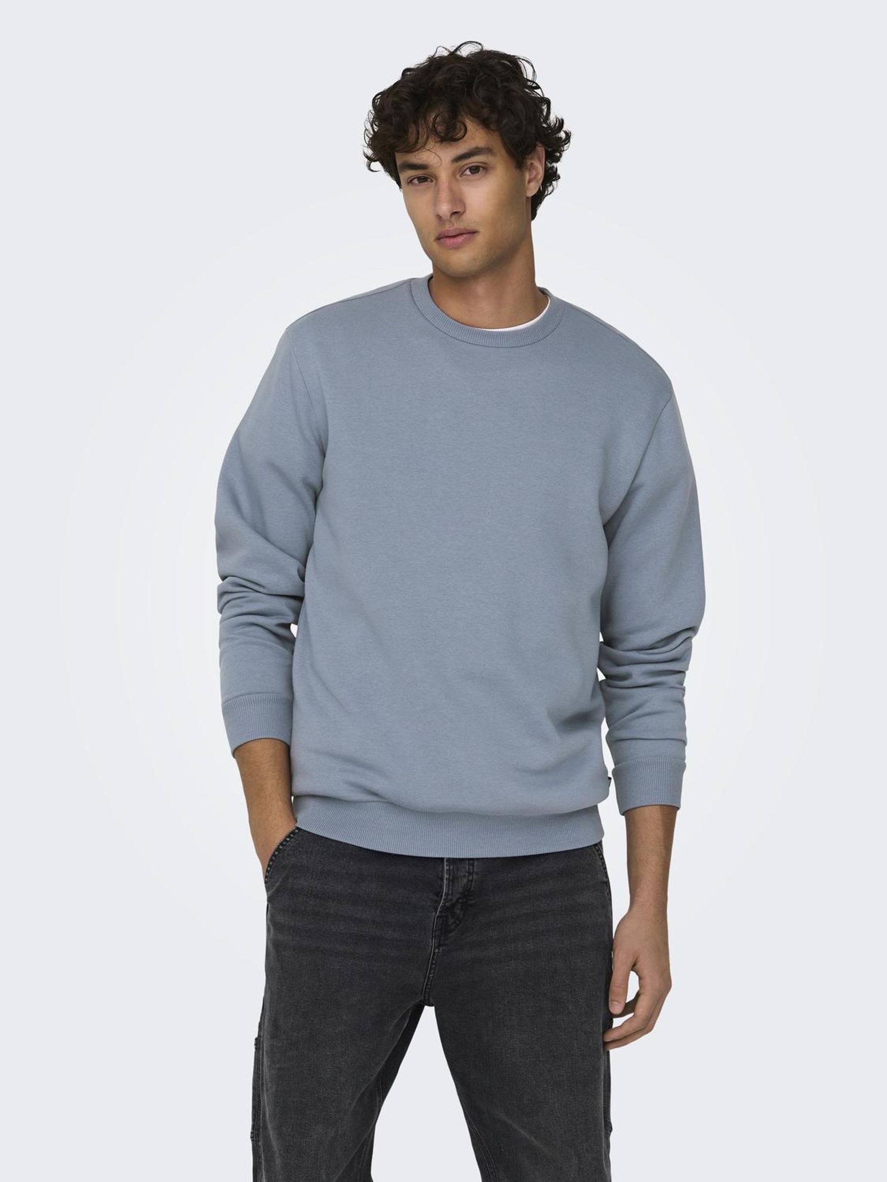 ONLY & SONS Sweatshirt ONSCERES CREW günstig online kaufen