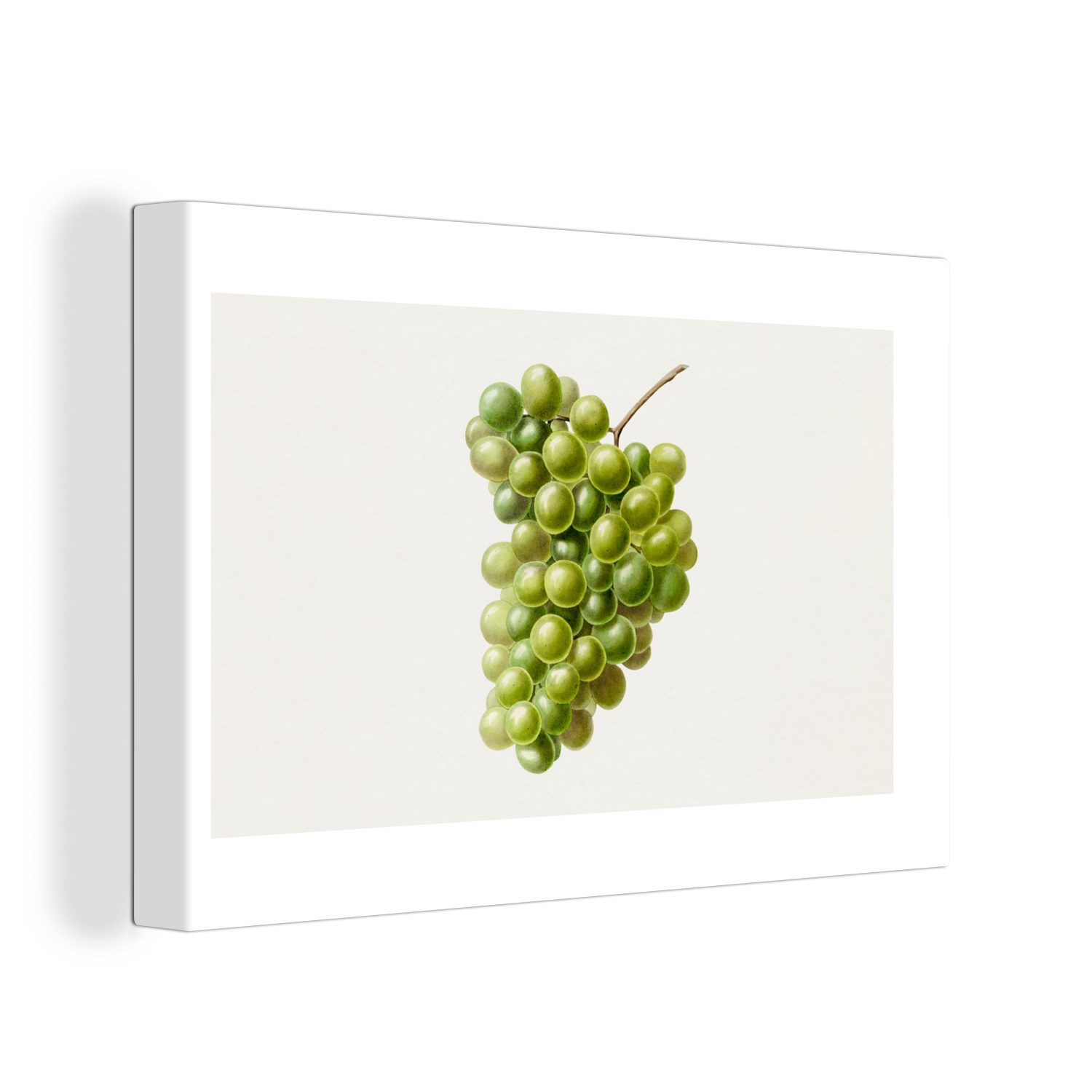OneMillionCanvasses® Leinwandbild Lebensmittel - Weintrauben - Obst, (1 St), Wandbild Leinwandbilder, Aufhängefertig, Wanddeko, 30x20 cm