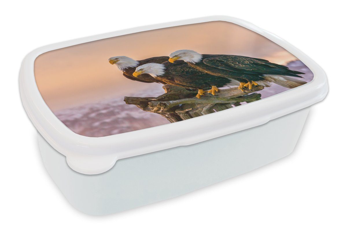 MuchoWow Lunchbox Vögel - Natur - Raubvögel - Adler, Kunststoff, (2-tlg), Brotbox für Kinder und Erwachsene, Brotdose, für Jungs und Mädchen weiß