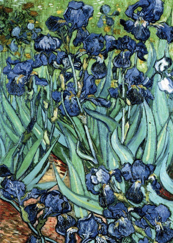 Vincent Gogh (Schwertlilien)" "Iris van Postkarte Kunstkarte