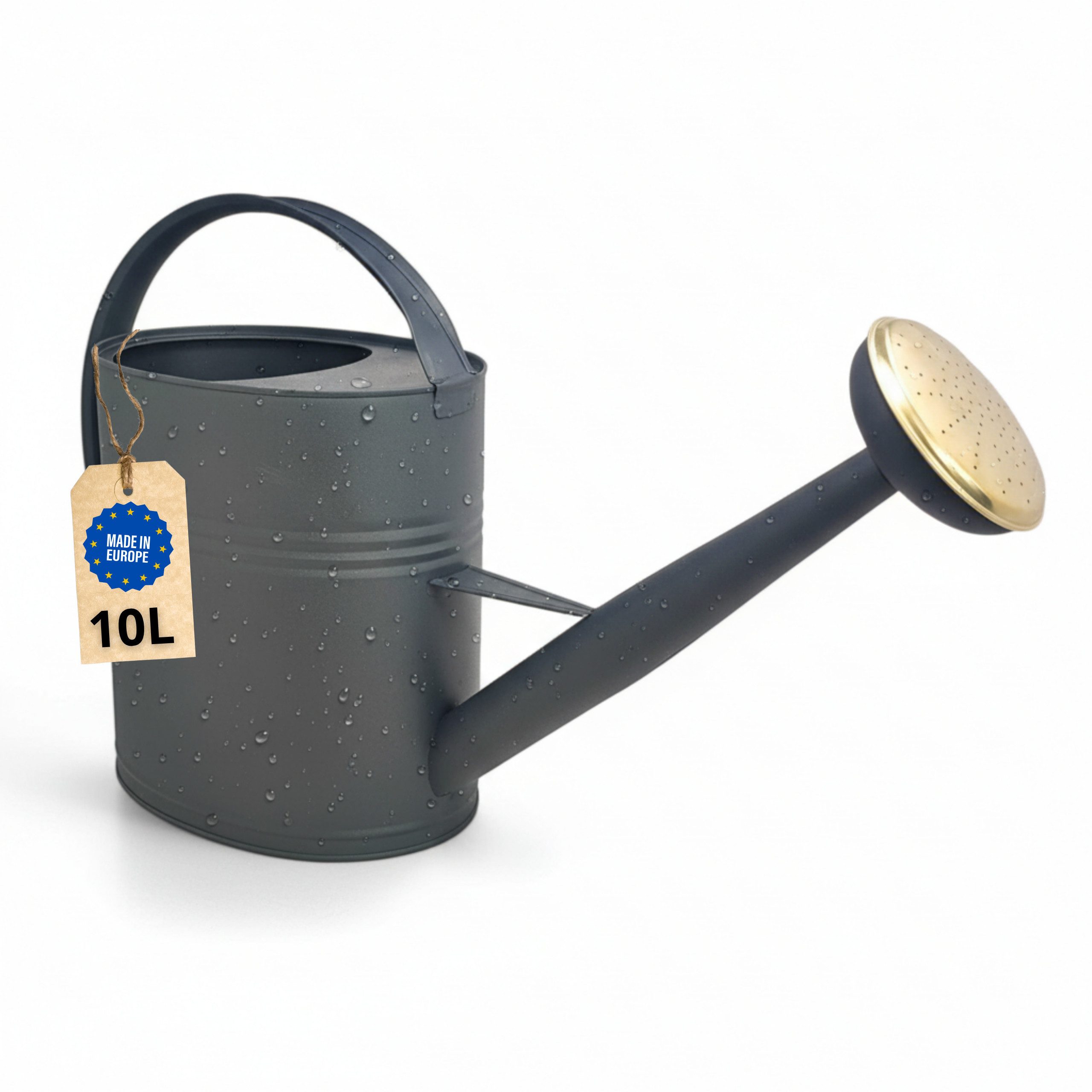 LIVLIG Gießkanne 10L, Gießkanne Vintage, Giesskanne Metall (Die Gießkanne wird mit einem abnehmbaren Gießkopf geliefert)