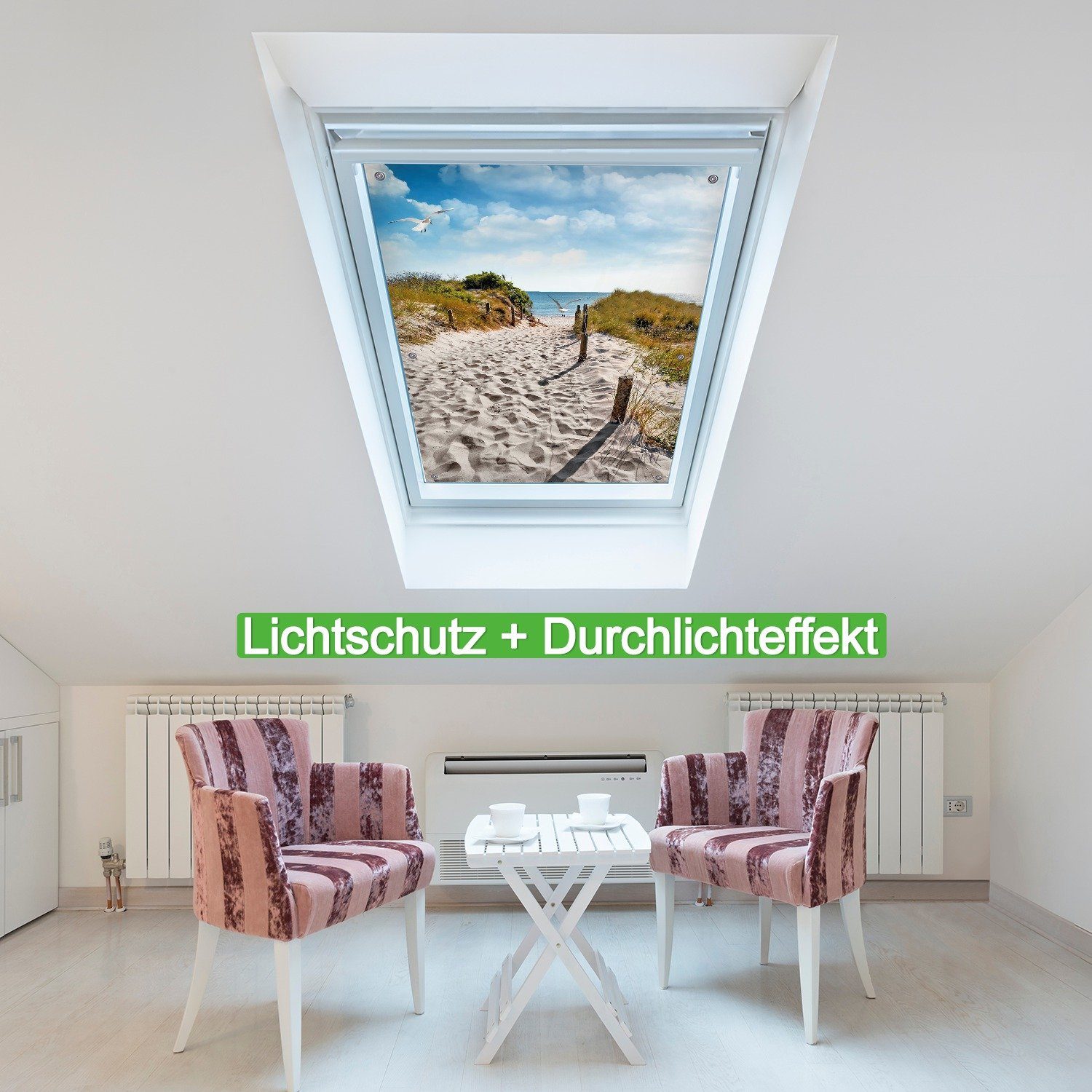 Wallario Sonnenschutz Möwen auf dem Weg günstig online kaufen